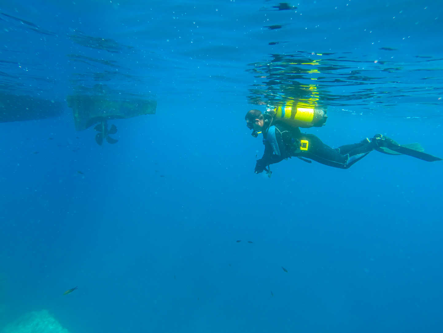 Barracuda Club de Buceo (FEDAS/ACUC)