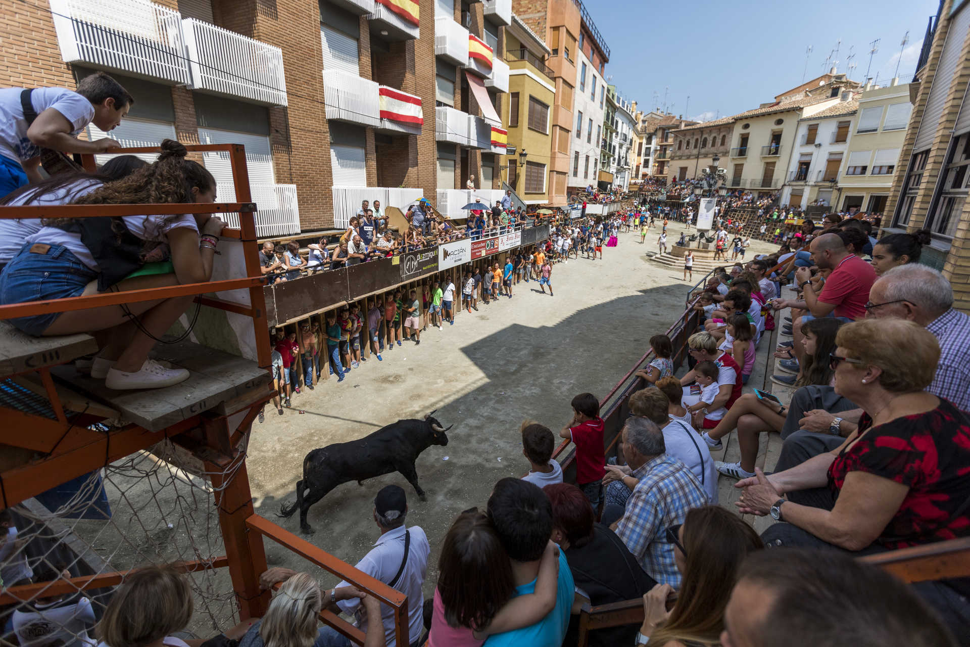 Entrada de Bous i Cavalls. Festa d'Interés Turístic Internacional i BIC immaterial.