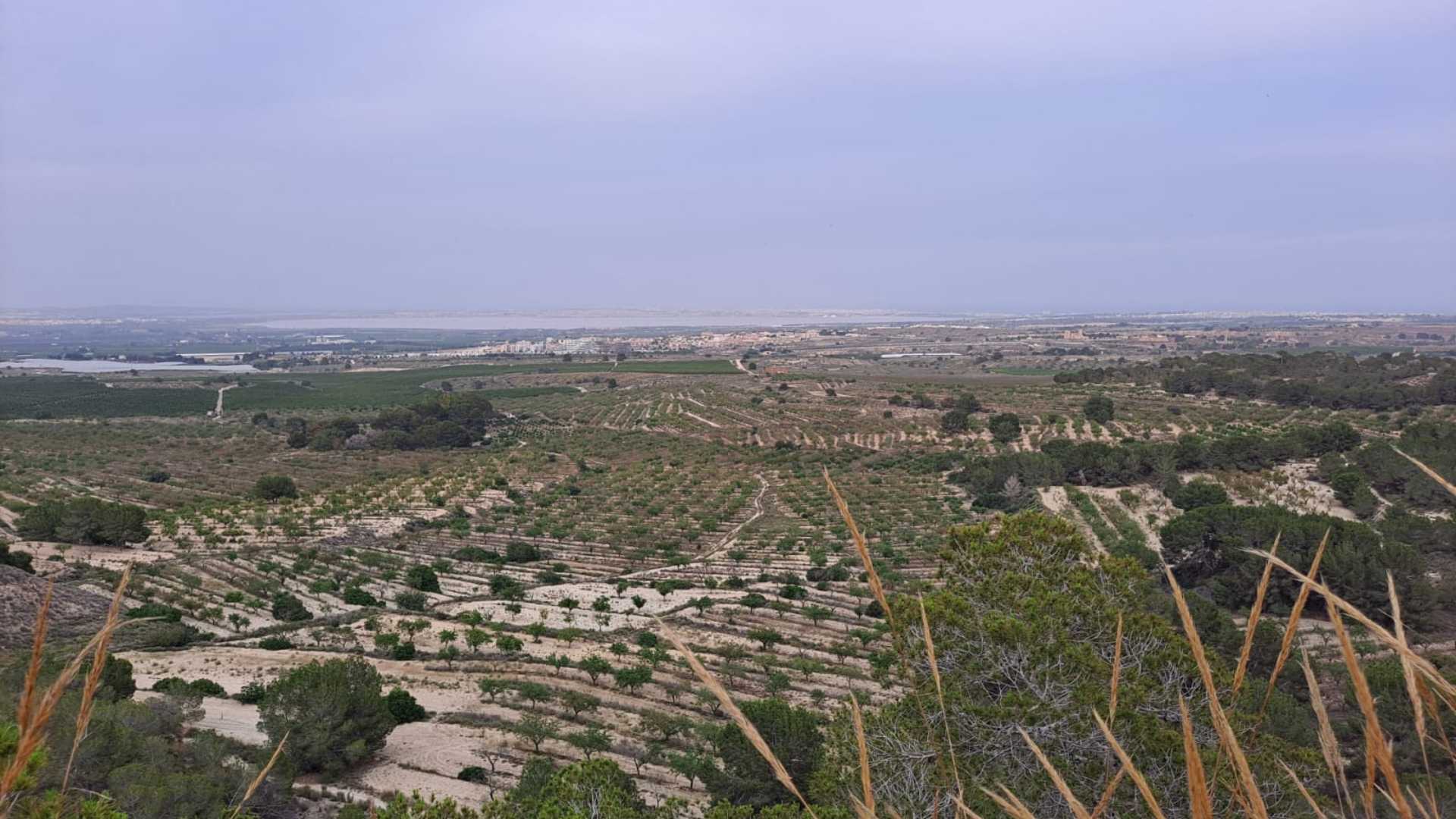 San Miguel de Salinas