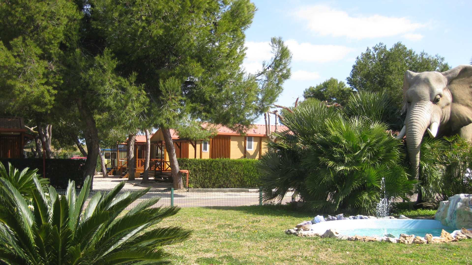 campingplatz l alqueria grao de gandia