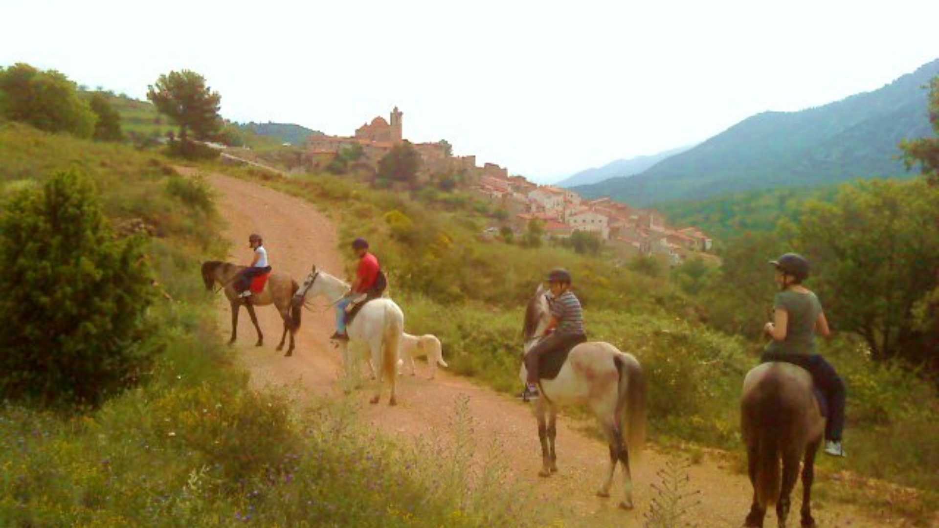 actividades la tinença de benifassa