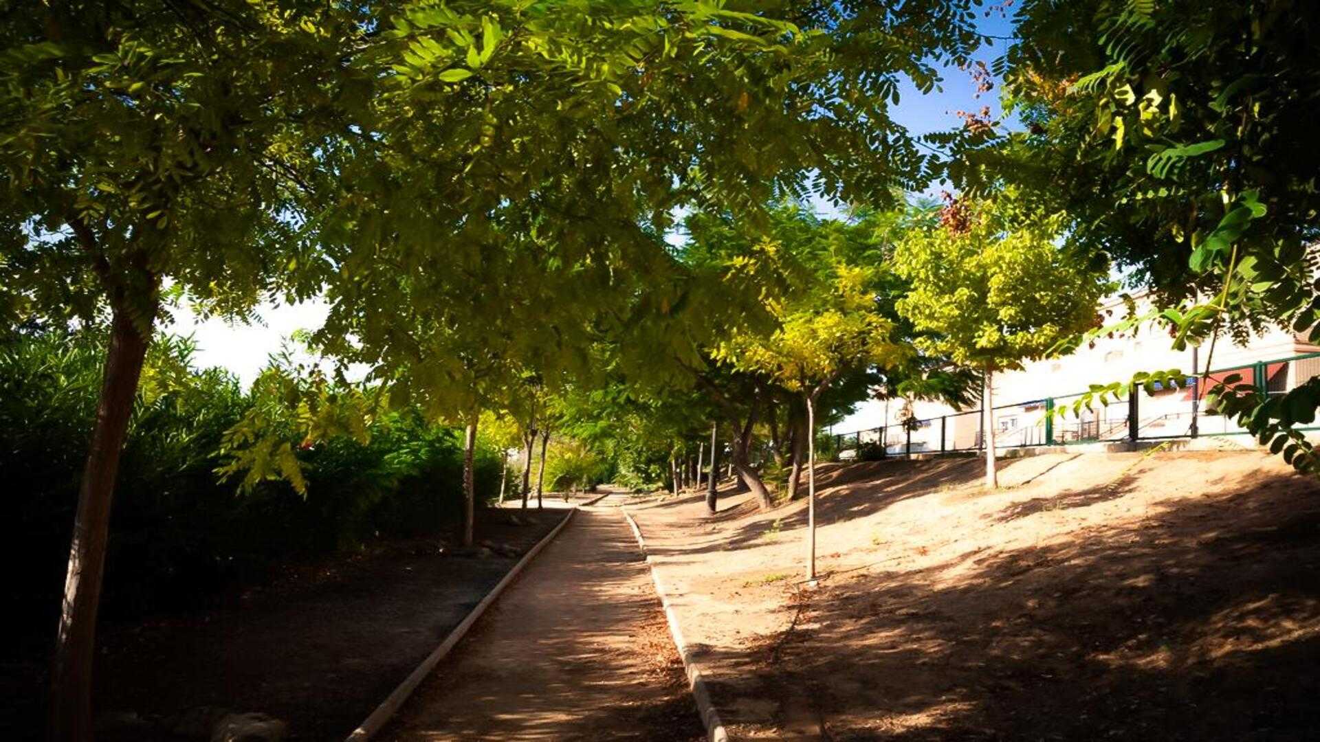 what to do in Cerda,