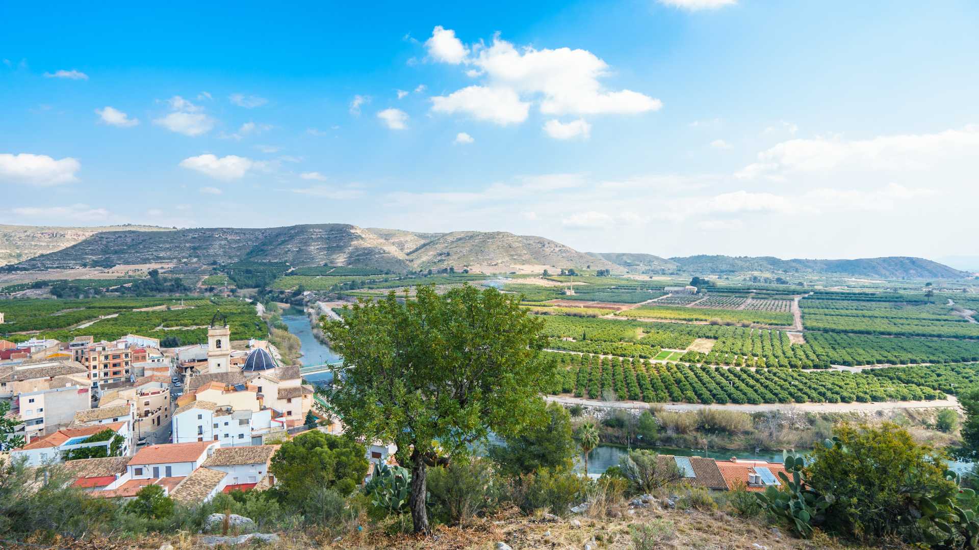 Sumacàrcer,