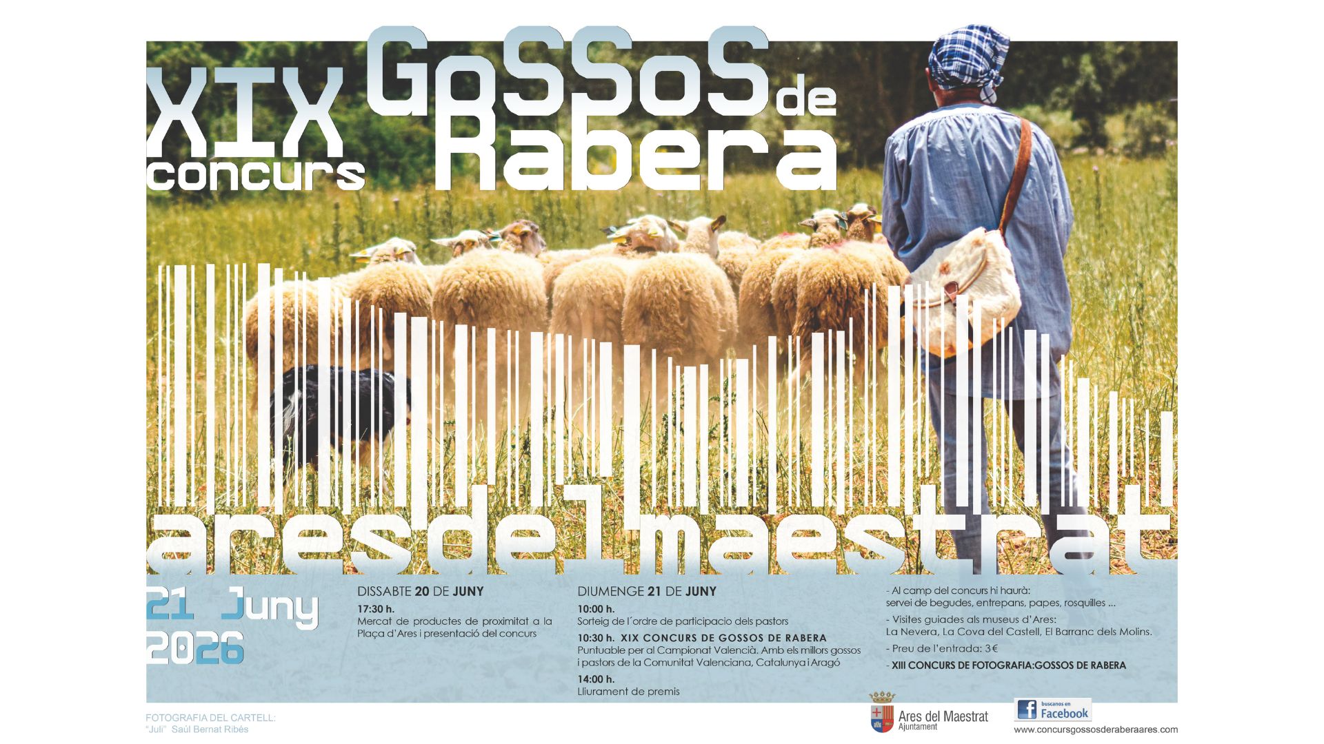 concurs de gossos