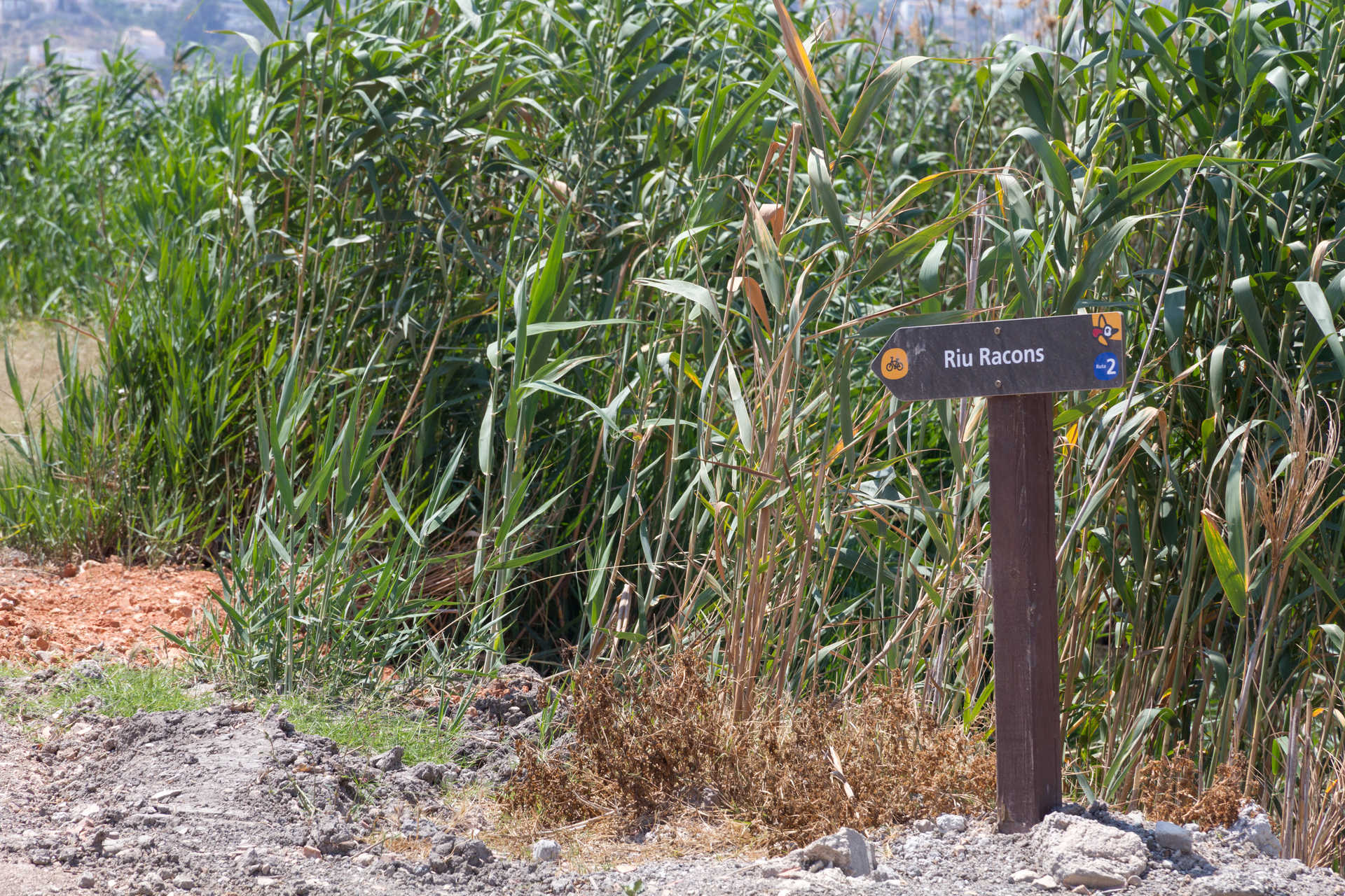 Parc Naturel de la Marjal de Pego et Oliva