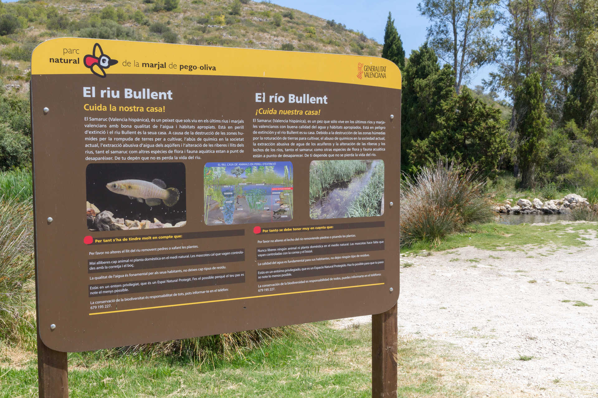 Parc Naturel de la Marjal de Pego et Oliva