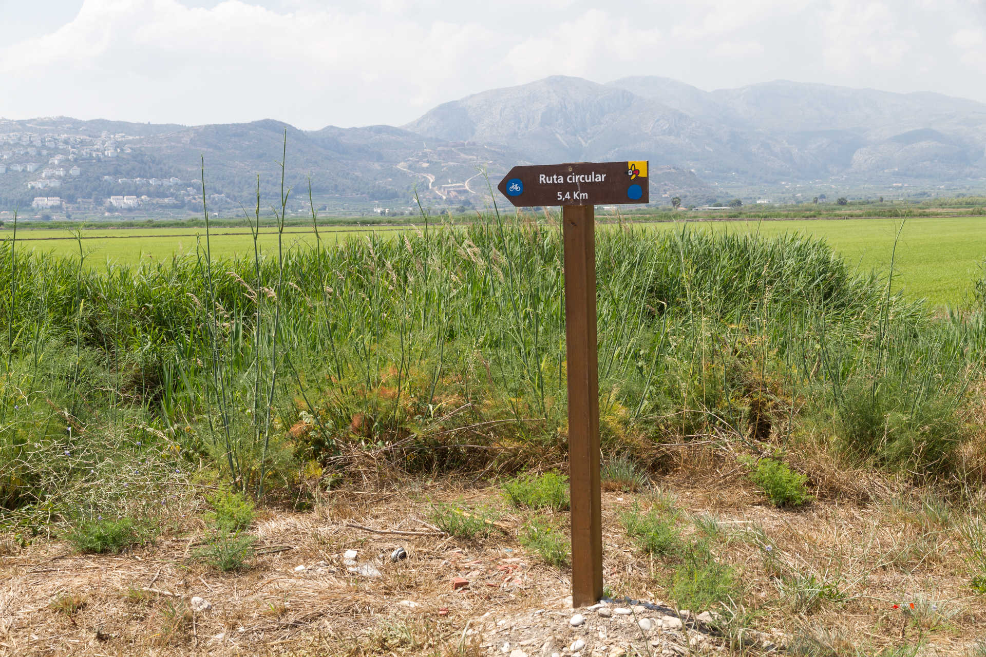 Marjal de Pego y Oliva natural park