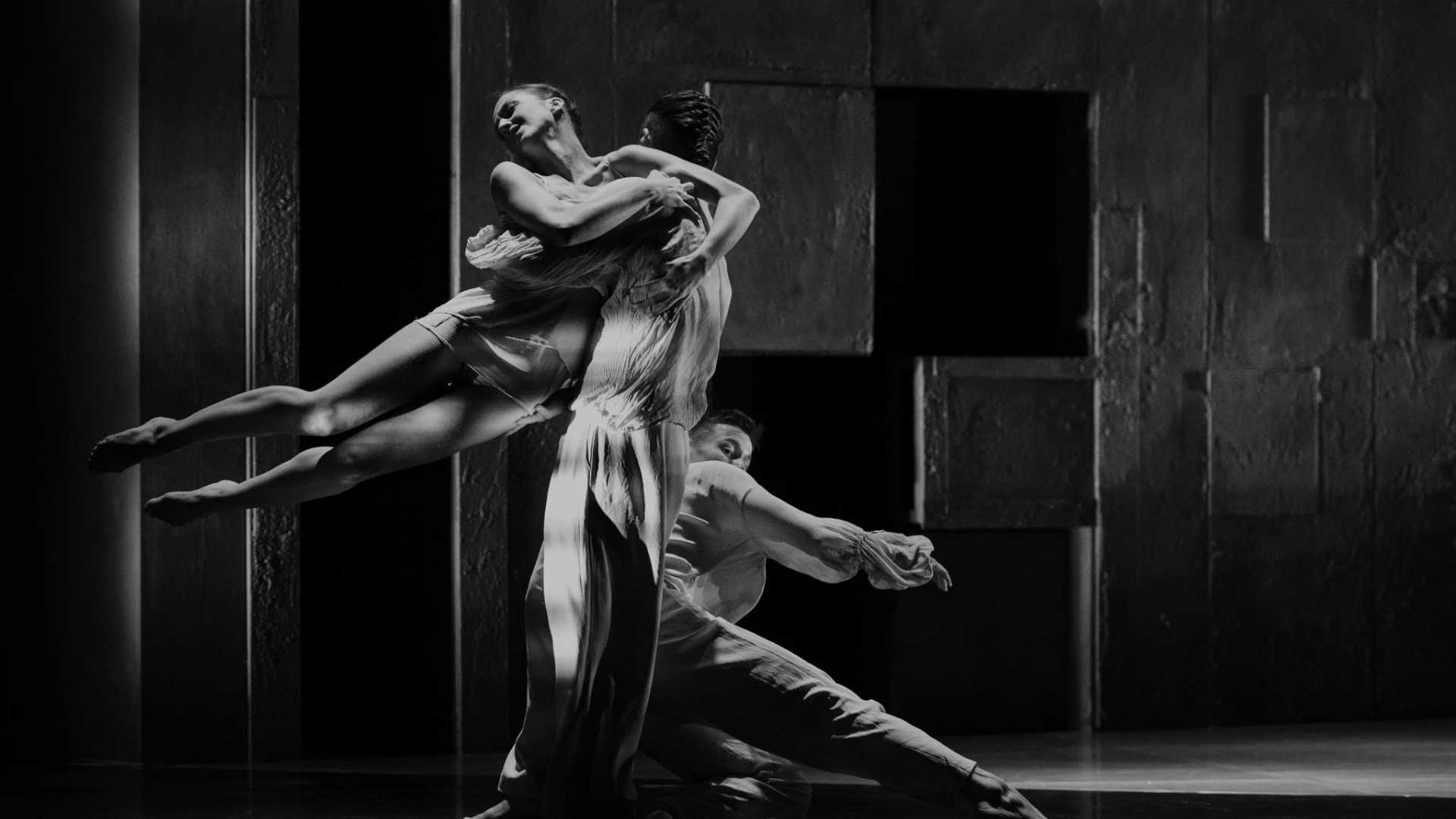 Danza: La mort i la donzella