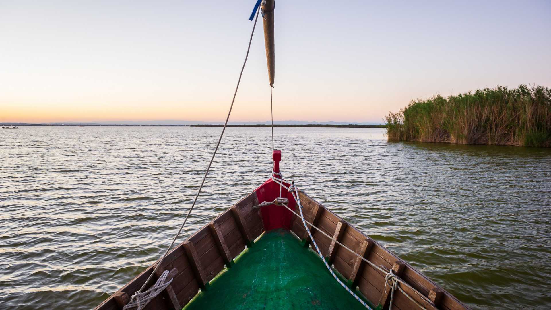 paseo en barco albufera,