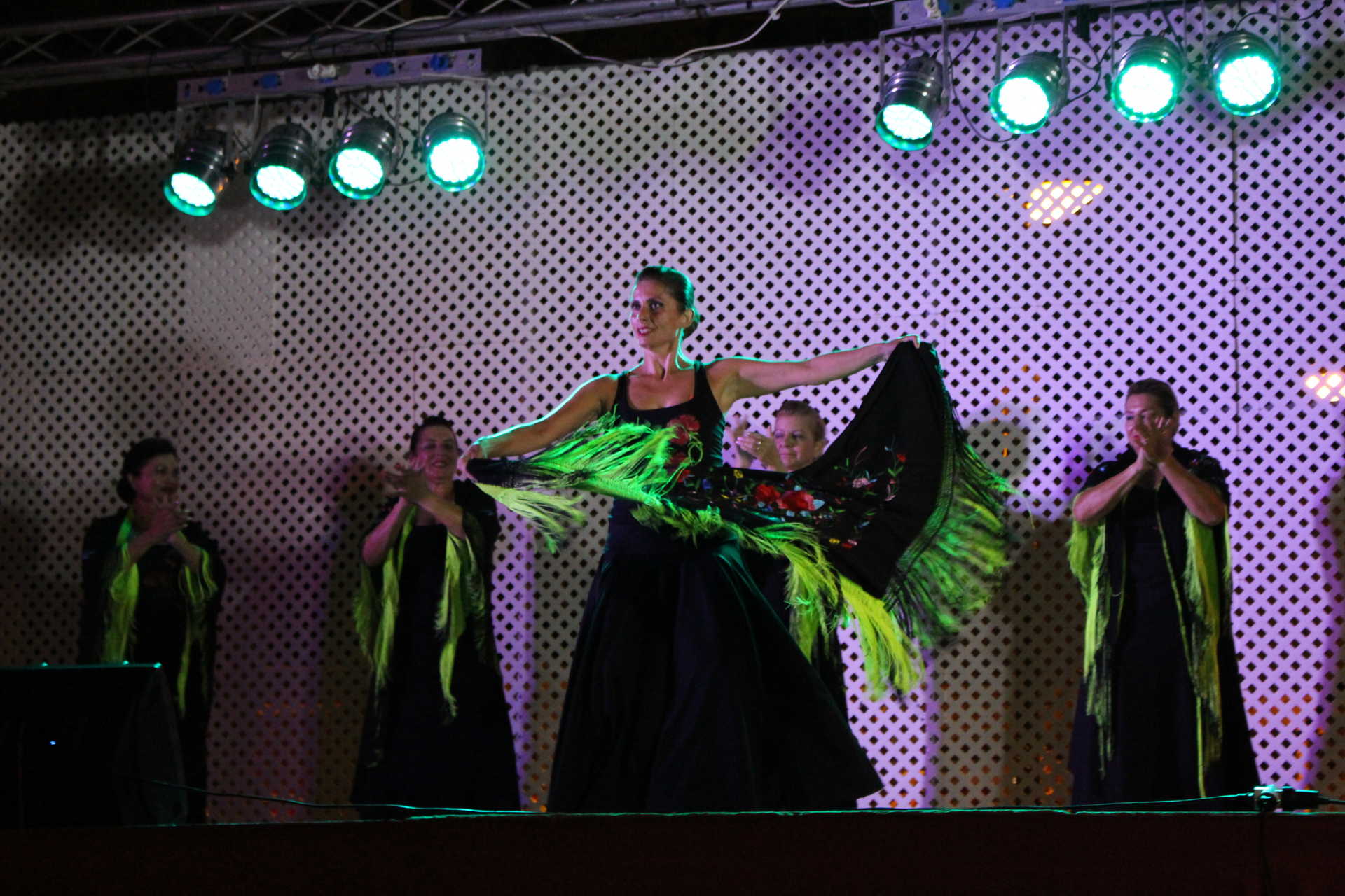 FESTES A PINAR DE CAMPOVERDE