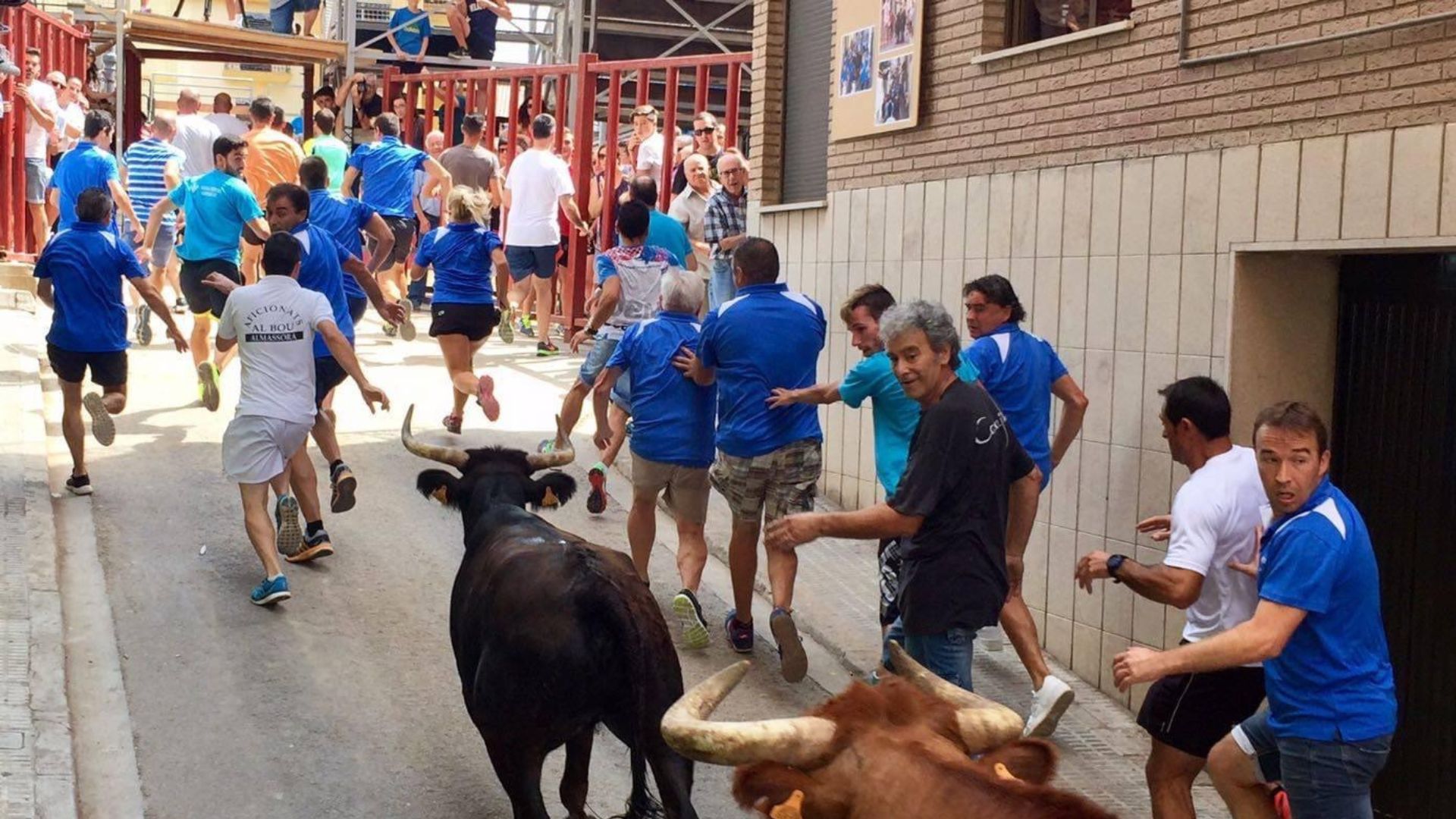Festes Patronals de Sant Bartomeu i Sant Roc