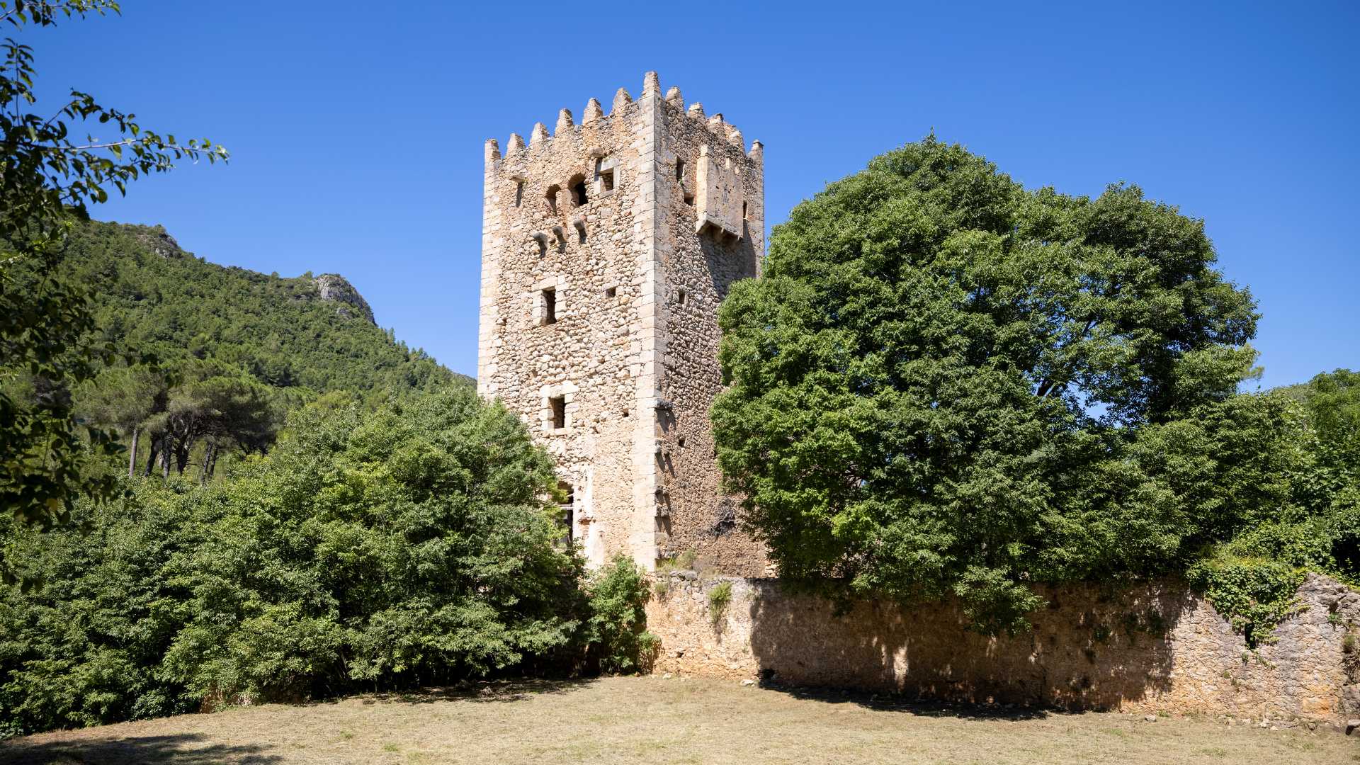 Castillo de Alzira