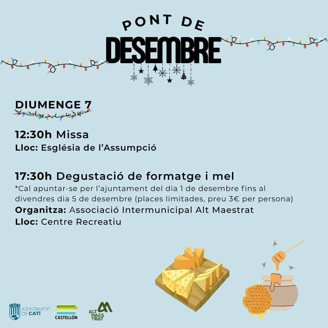 PUENTE DE DICIEMBRE EN CATÍ