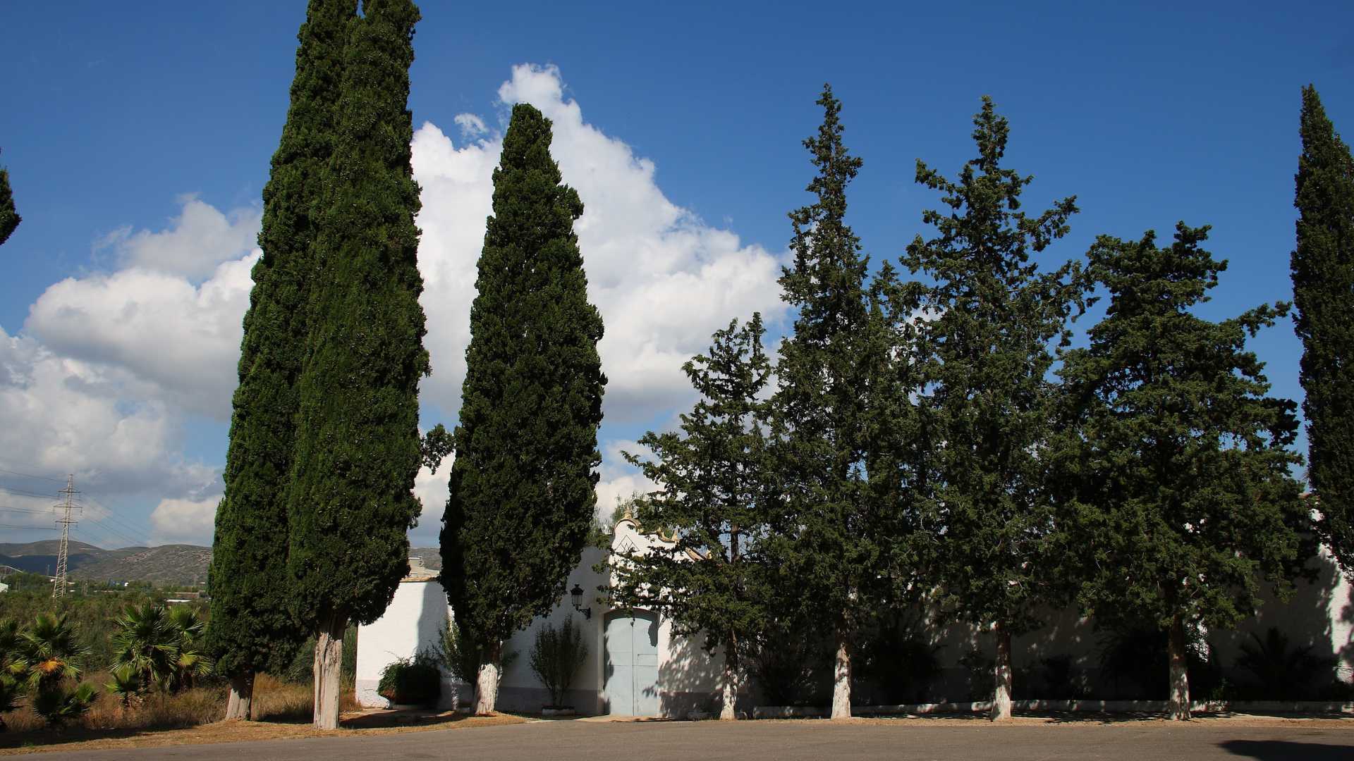 El Cementerio Civil de Buñol