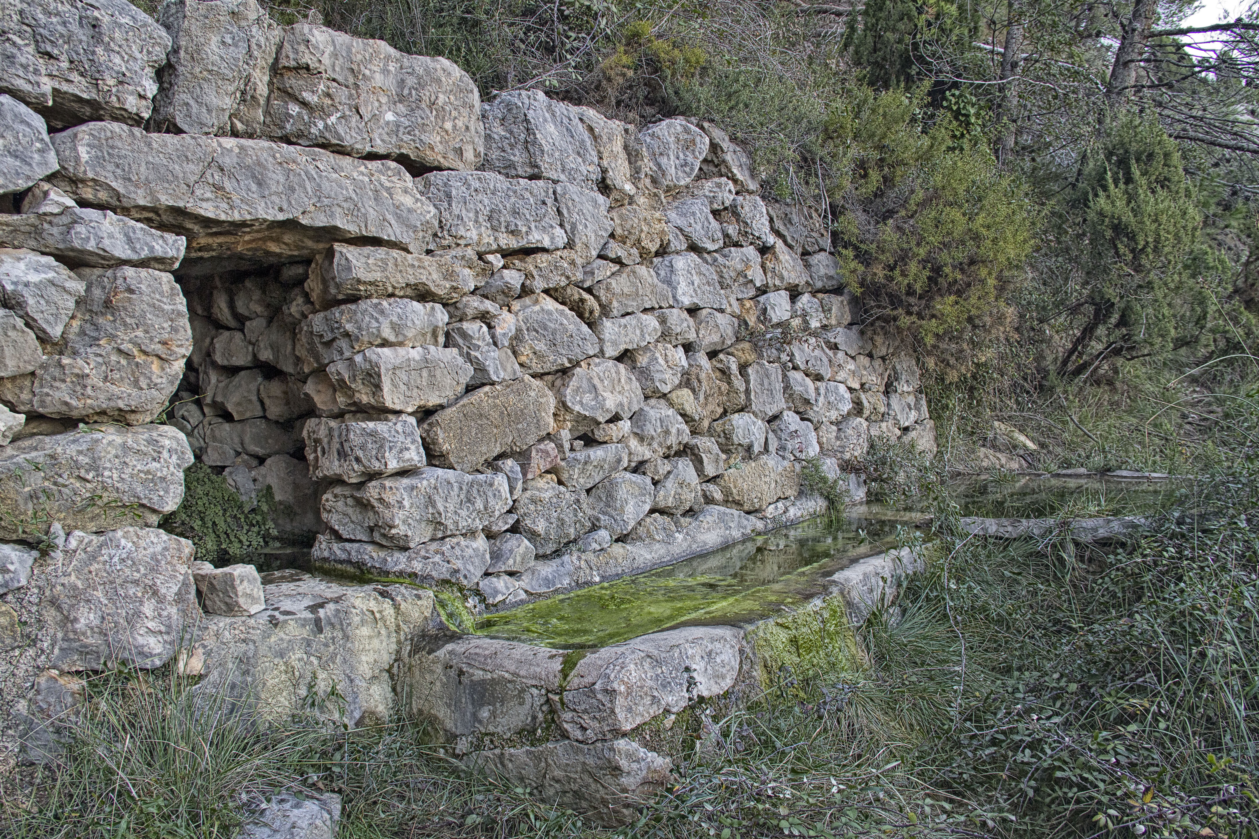 La Cova dels Aragonesos