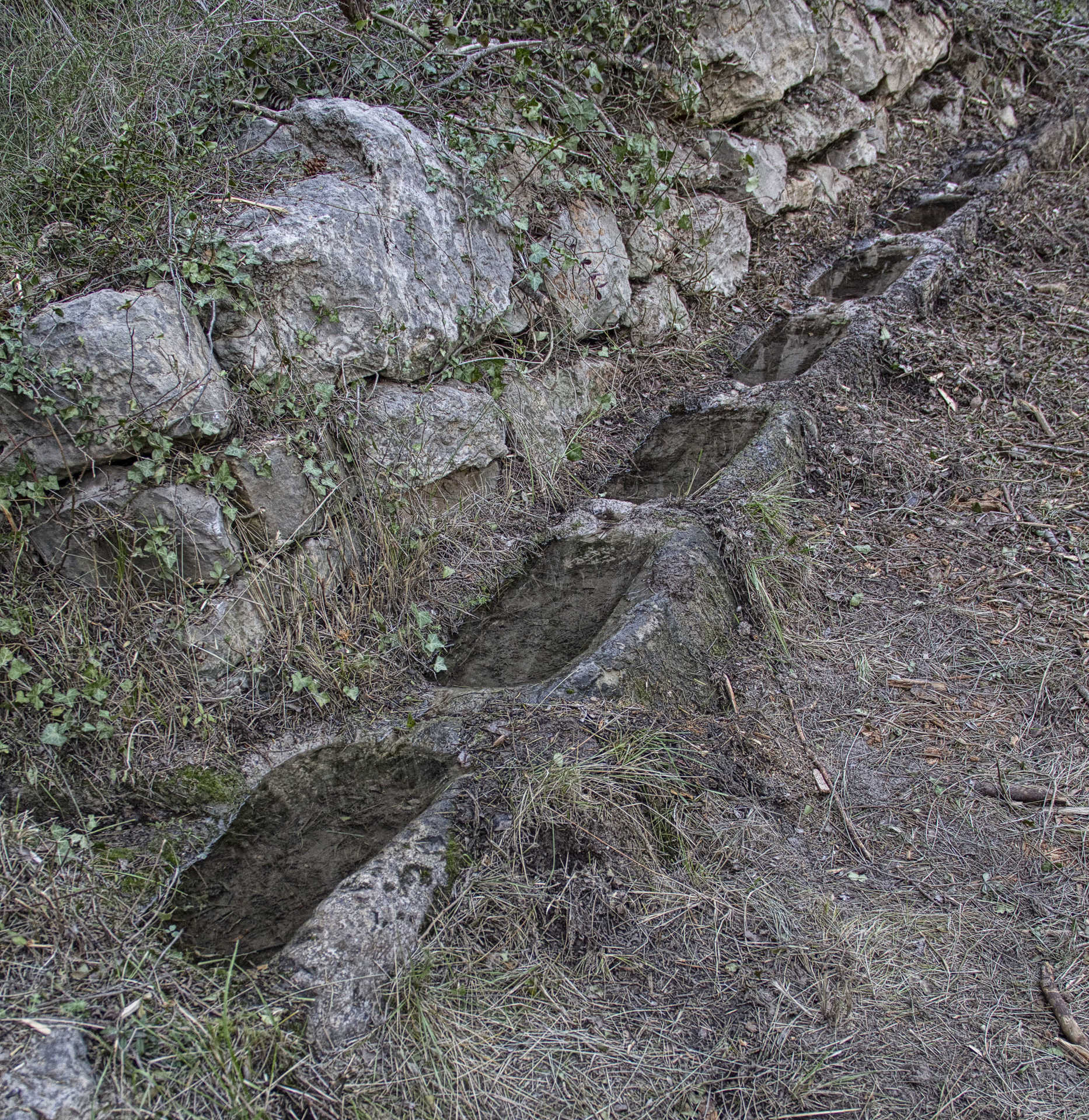 La Cova dels Aragonesos