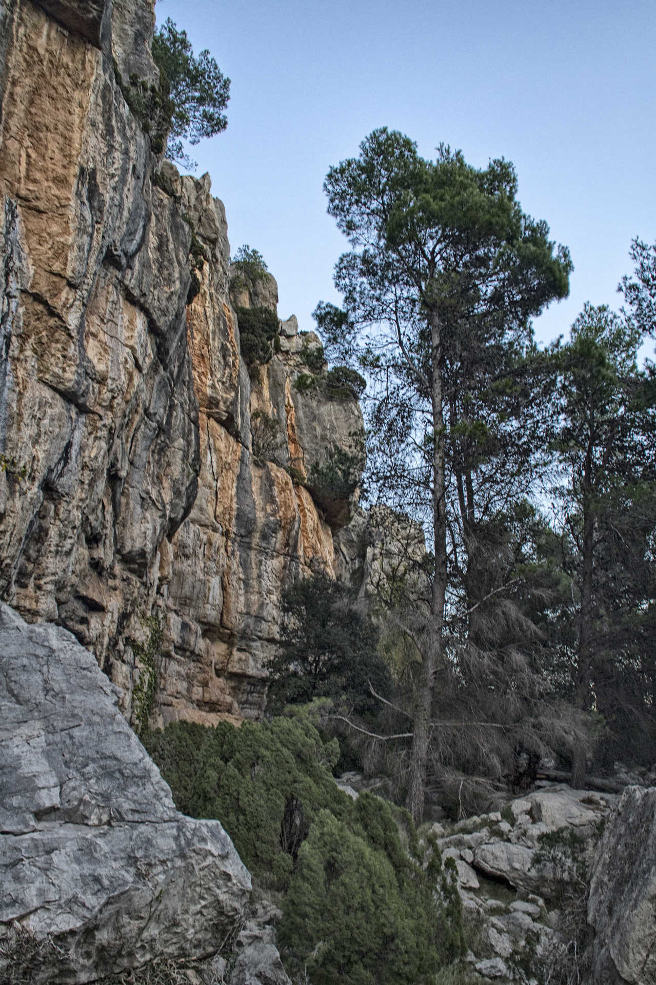 La Cova dels Aragonesos