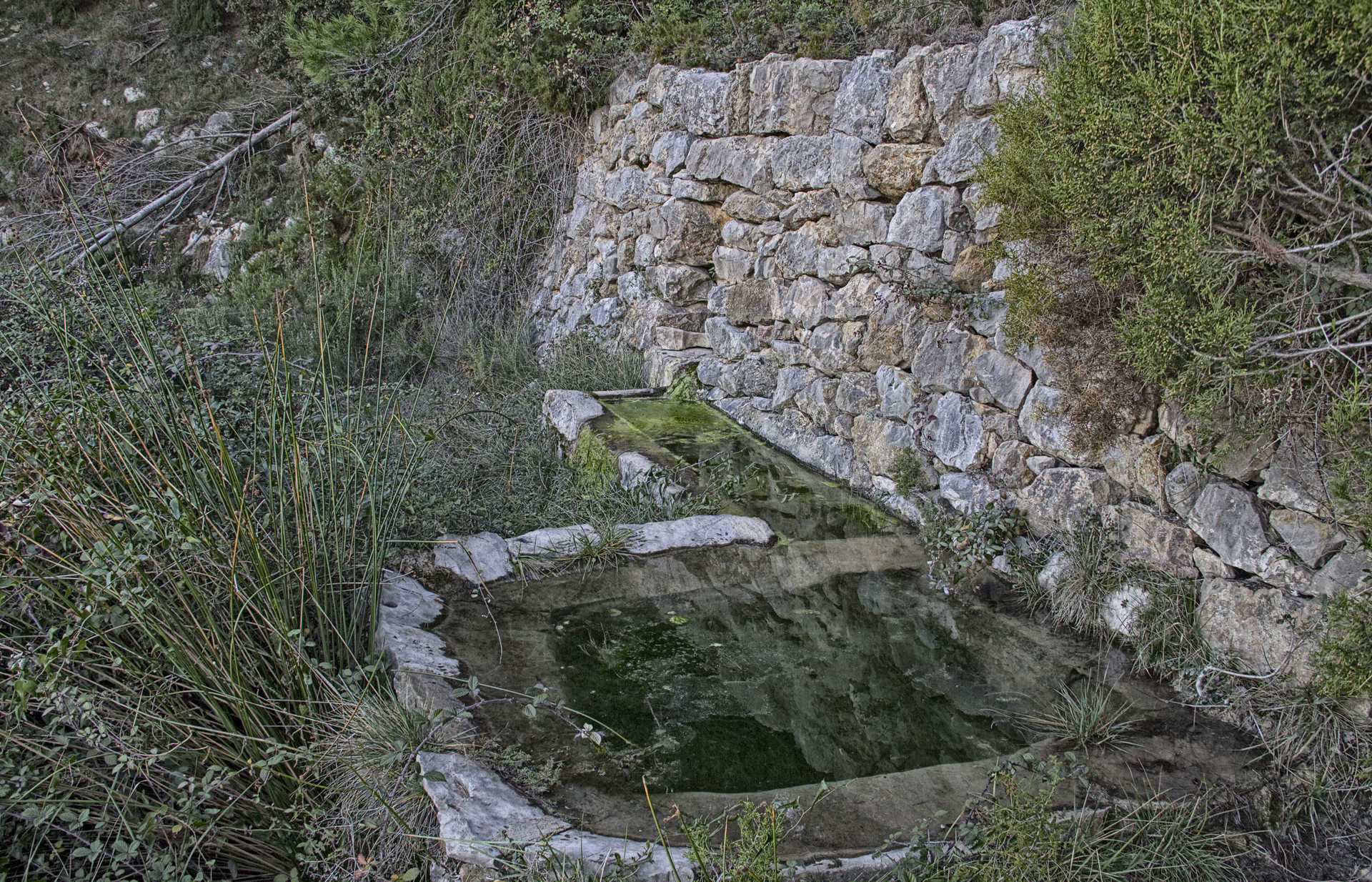 La Cova dels Aragonesos