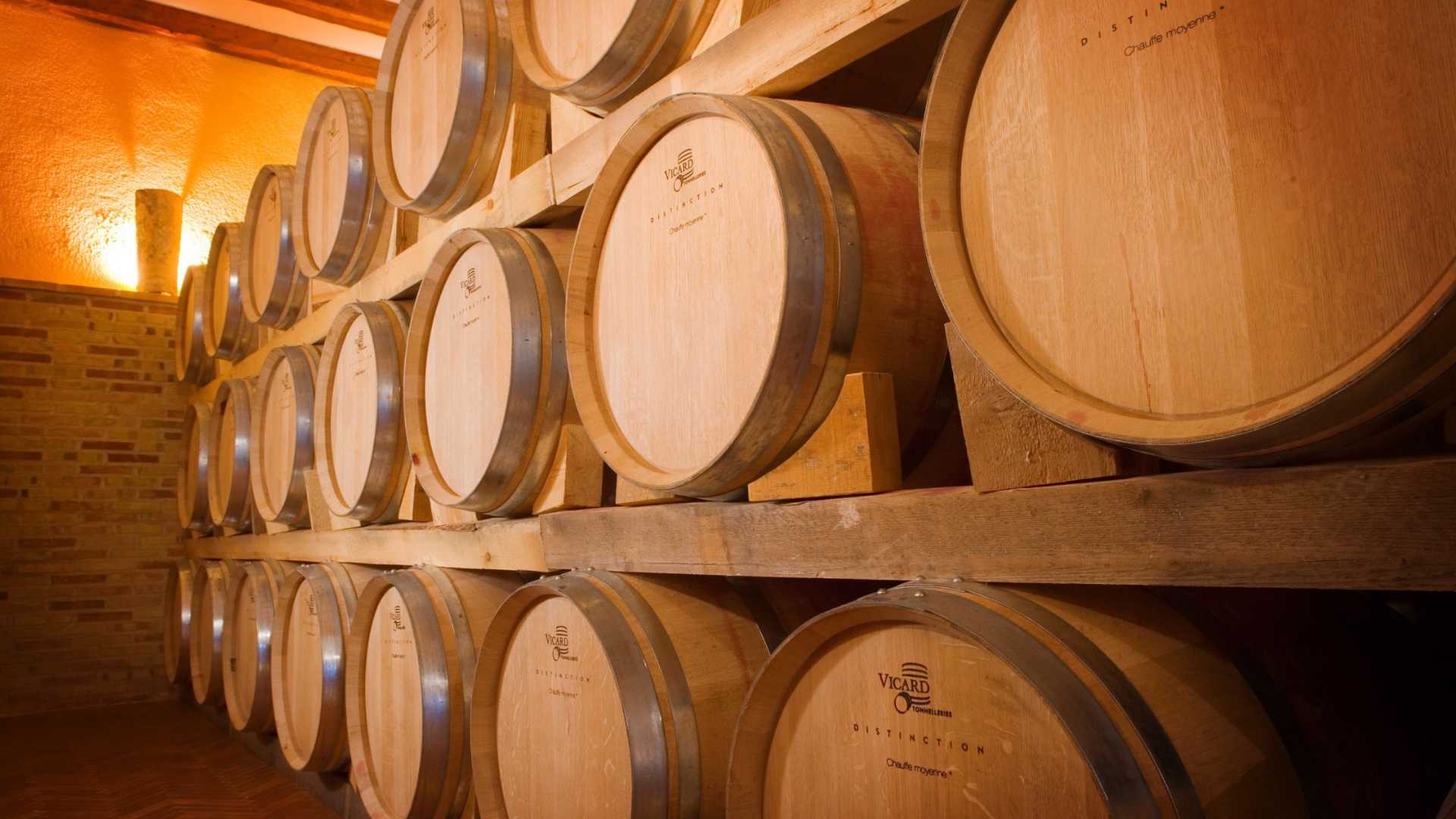 Visita a celler amb tast