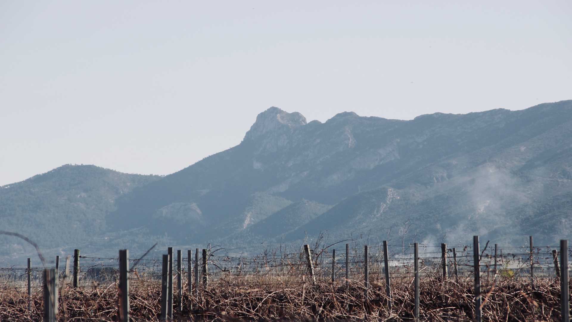 Visita a celler amb tast