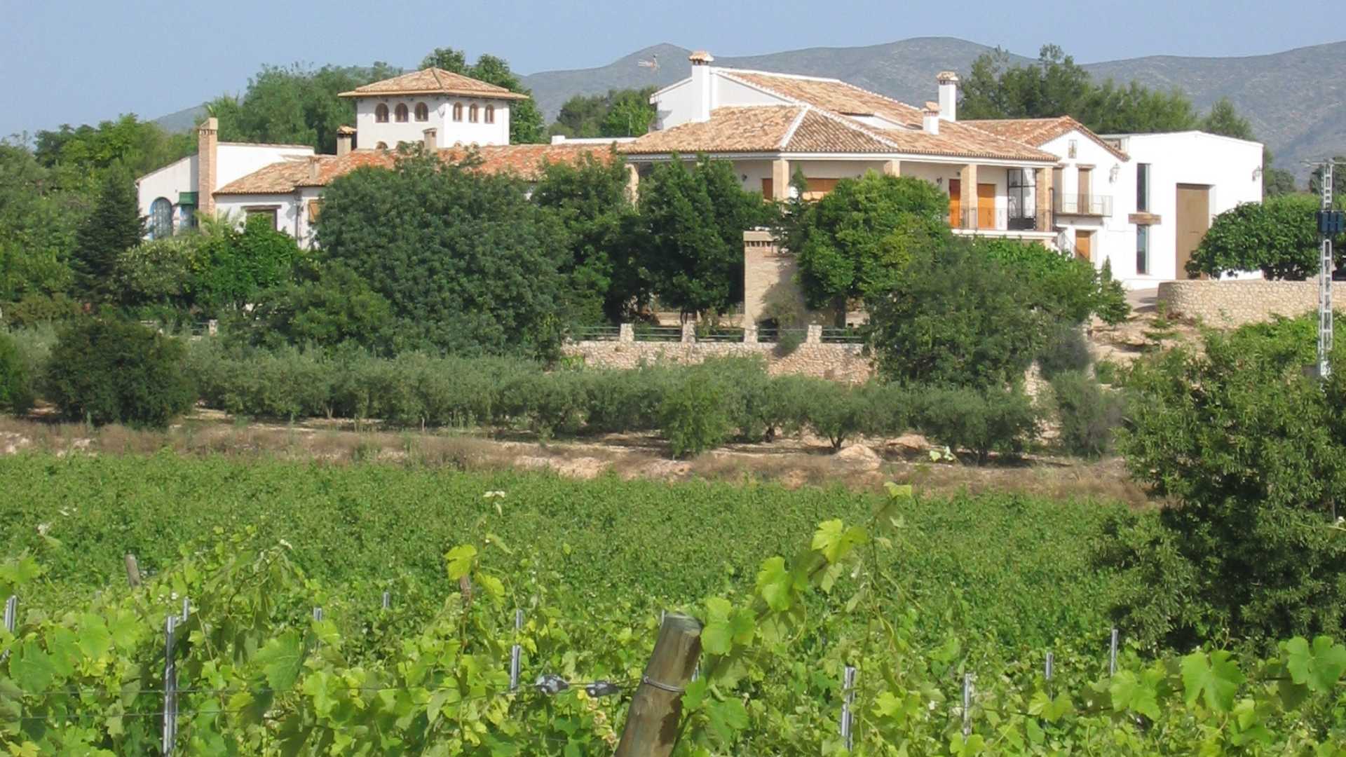 Visita a celler amb tast