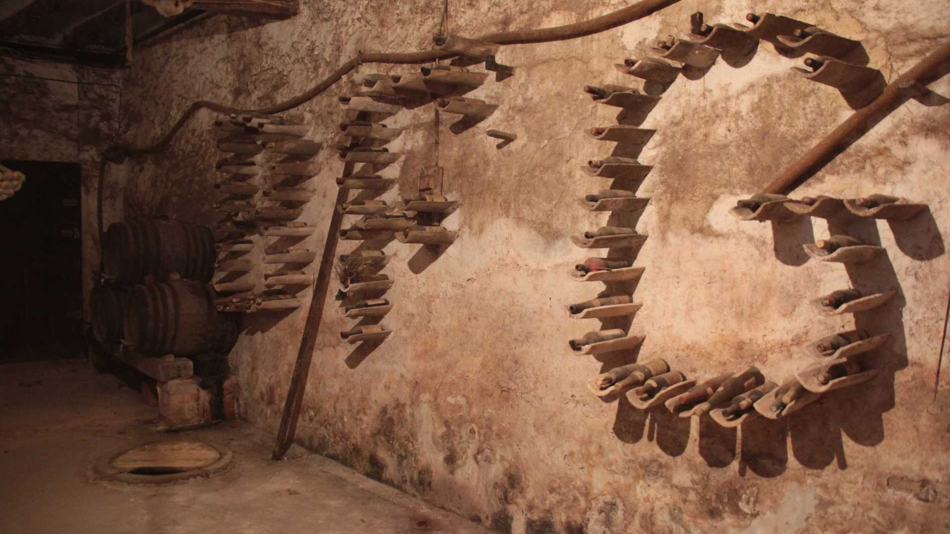 Visita a celler amb tast