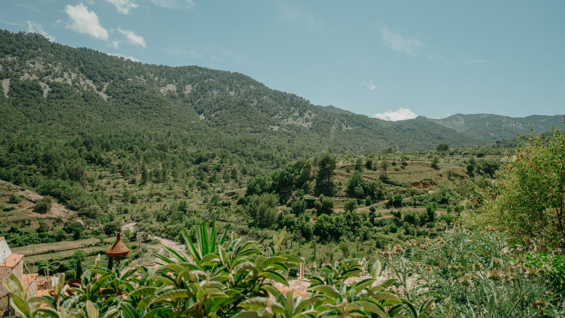 La Pobla de Benifassà