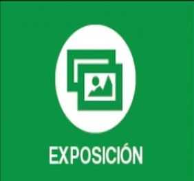 Exposición de Dibujo Escolar para el Calendario de Participación Ciudadana 2022