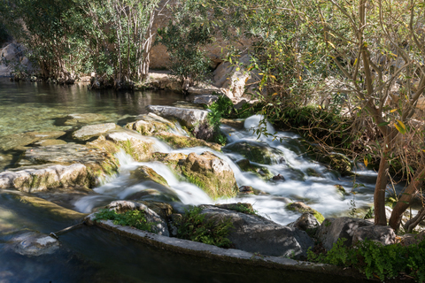 Club de Golf Las Ramblas de Orihuela - Image 10