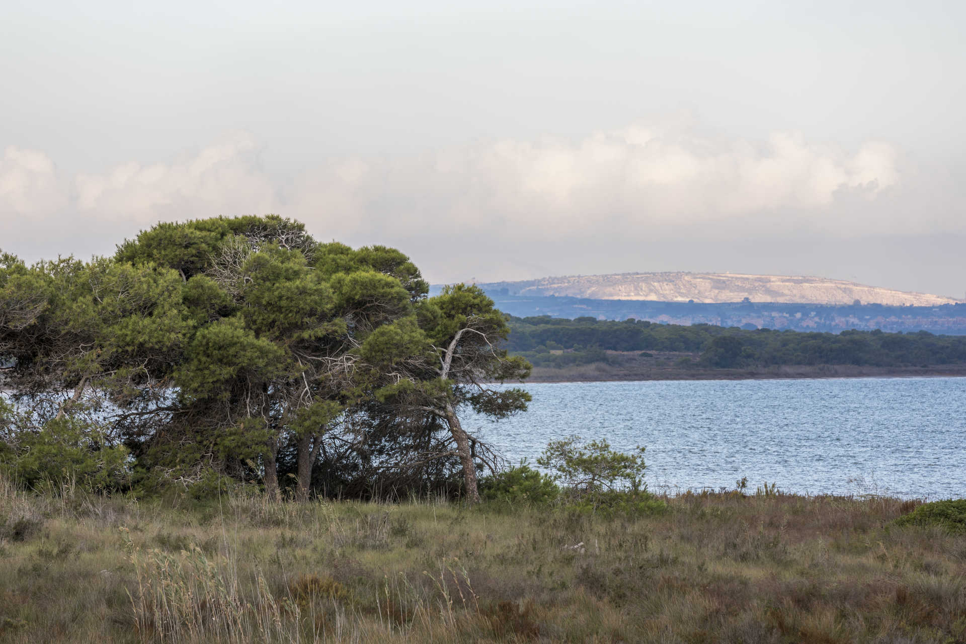 El Parc Natural de les llacunes de la Mata i Torrevieja