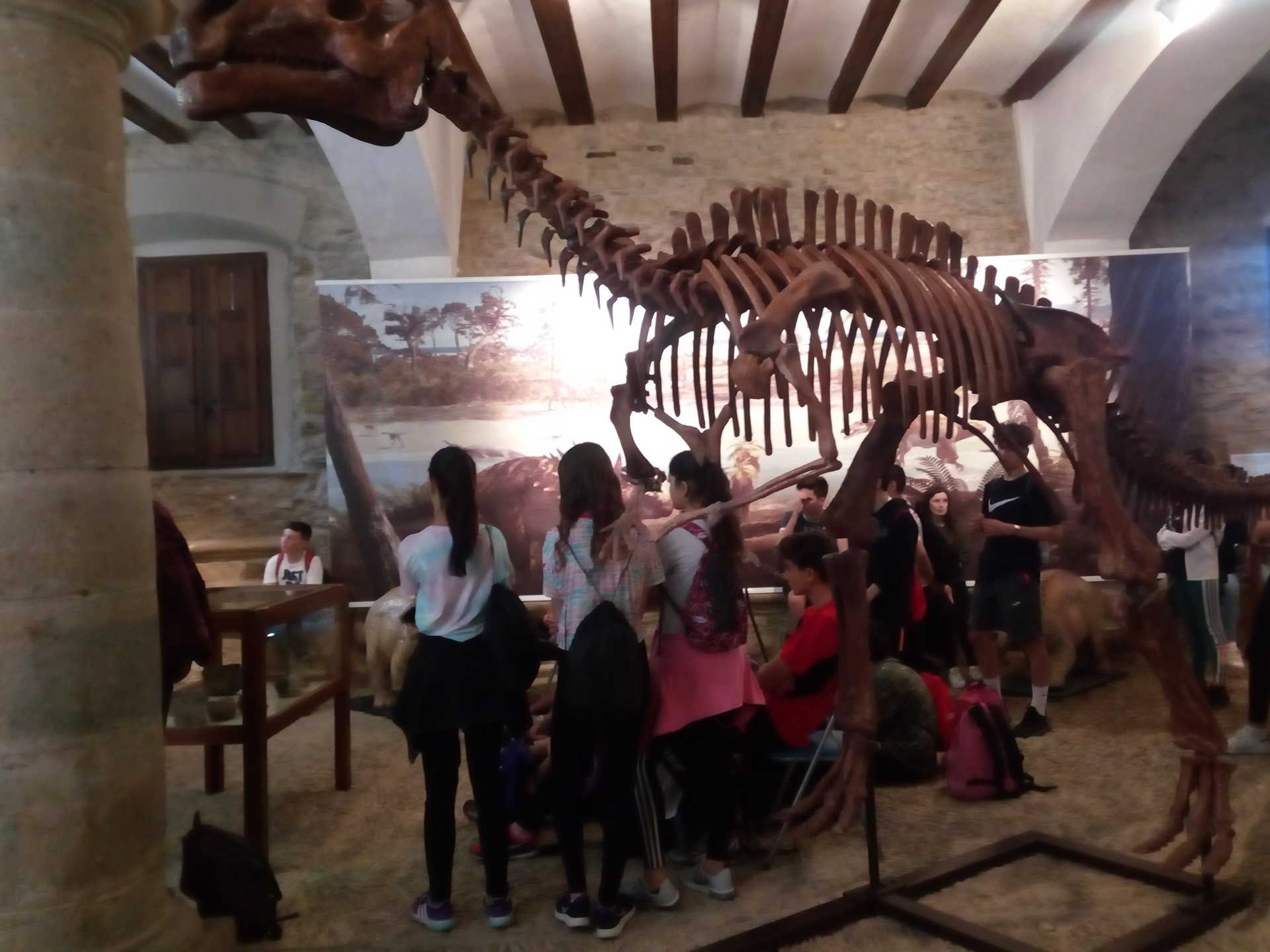 Museo de Dinosaurios – permanent collection
