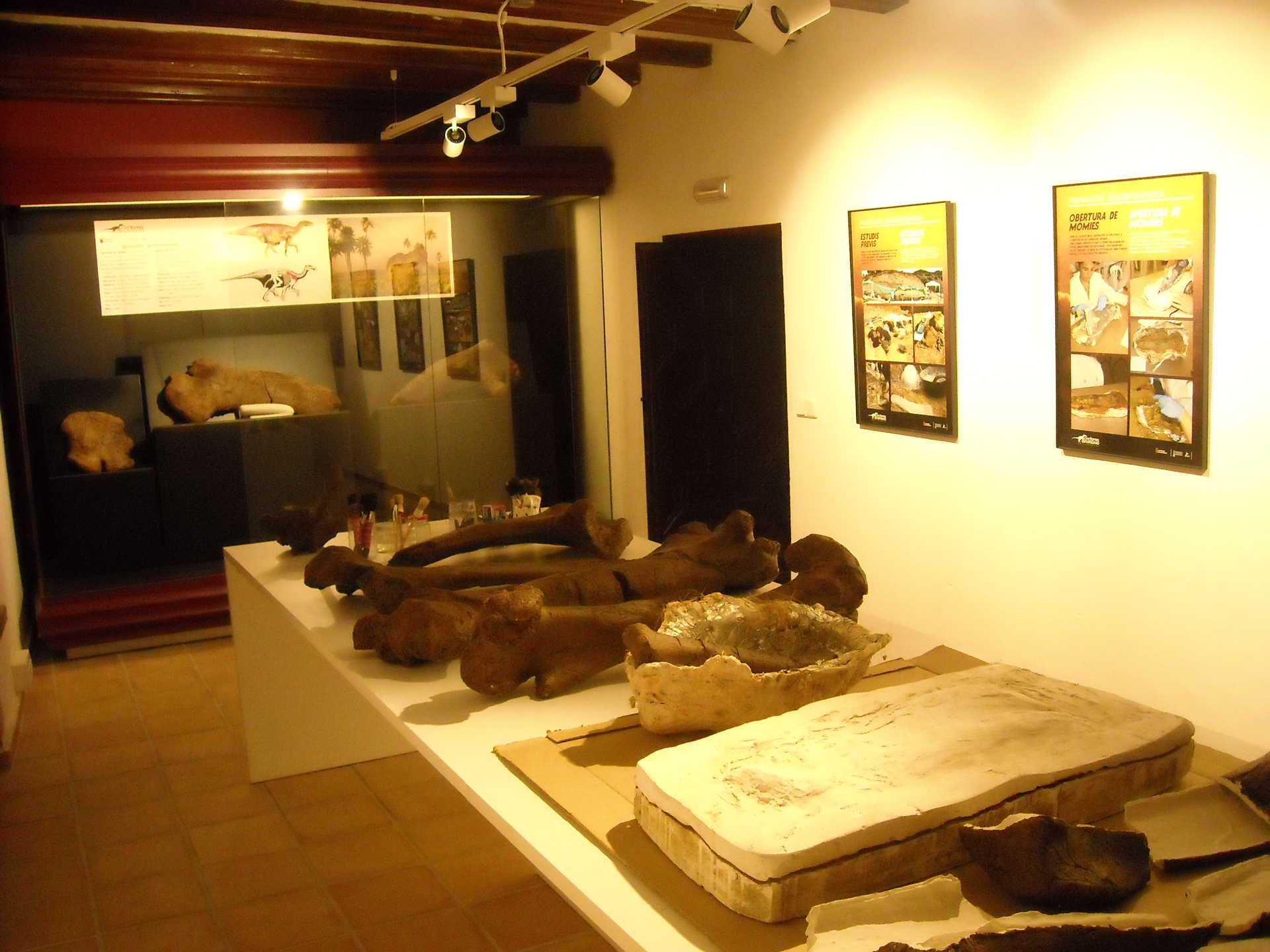 Colección Museográfica permanente de Cinctorres- Museo de Dinosaurios