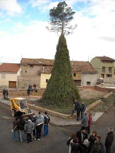 Fiesta de San Antonio Abad. Cinctorres
