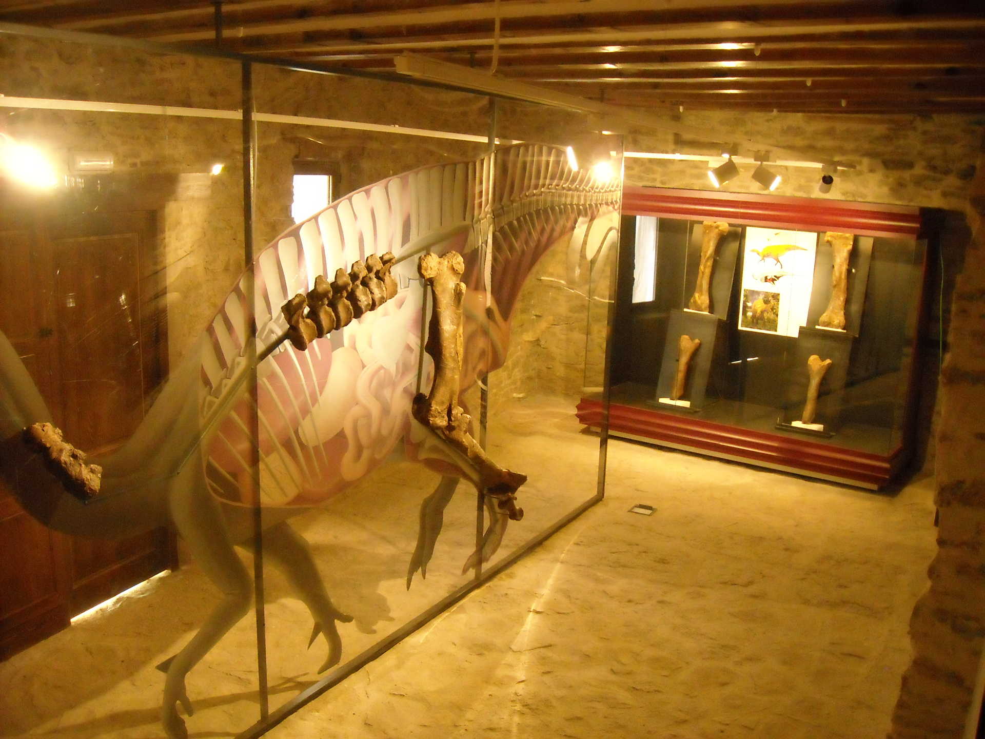 Permanente Museumsausstellung von Cinctorres- Dinosaueriermuseum