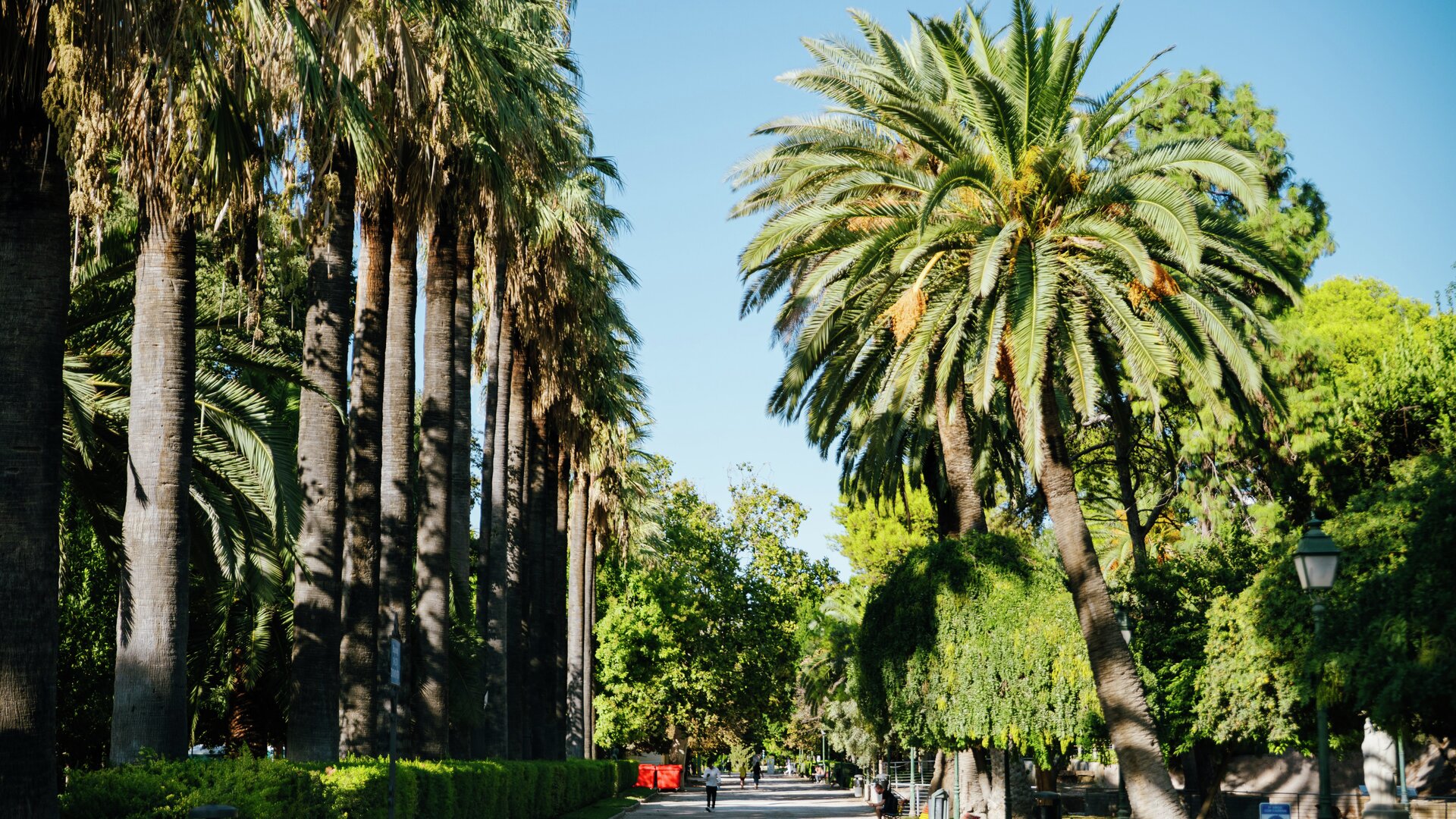 Jardines del Real- Jardines de Viveros