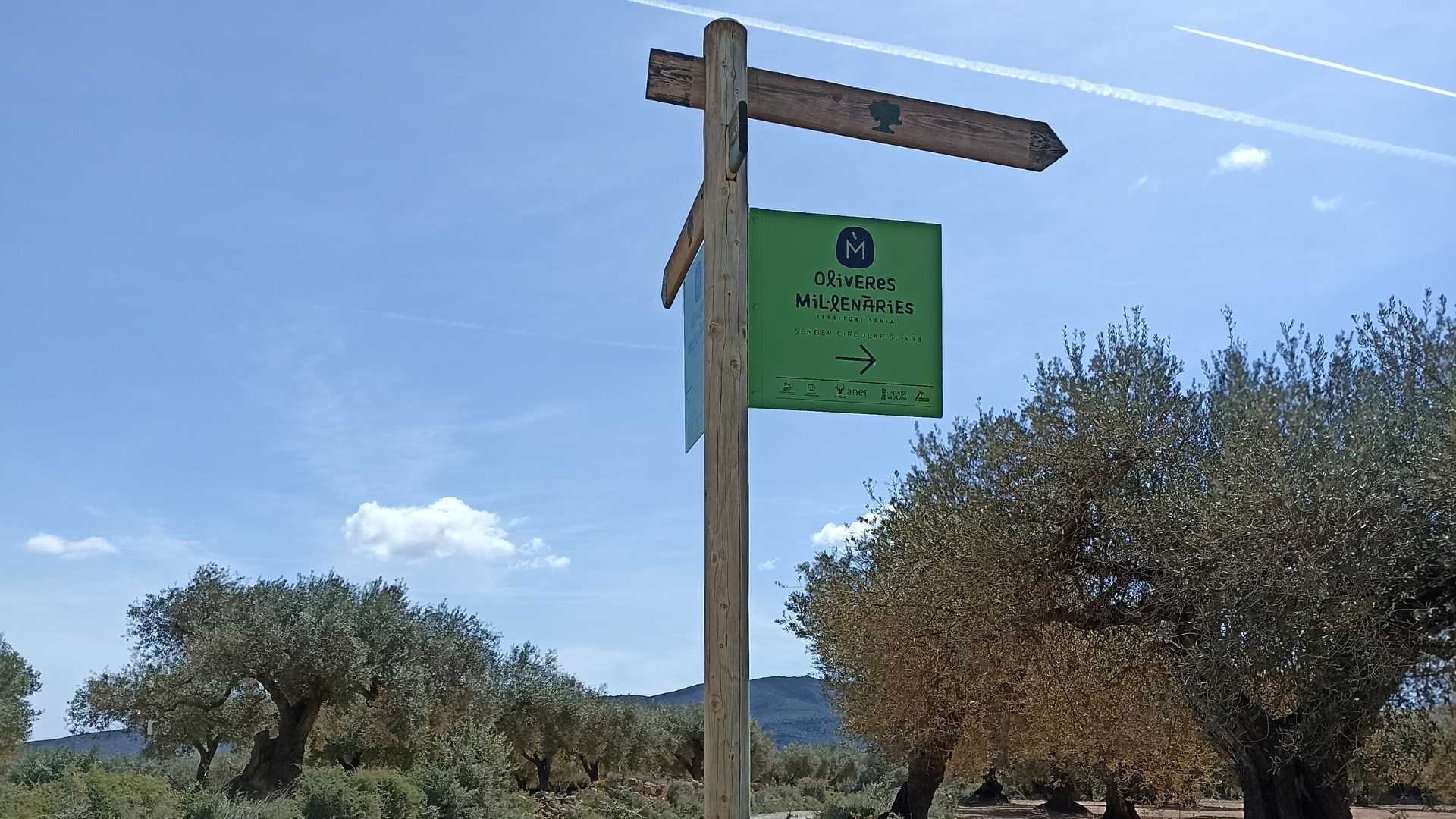 Experiencias Canet lo Roig