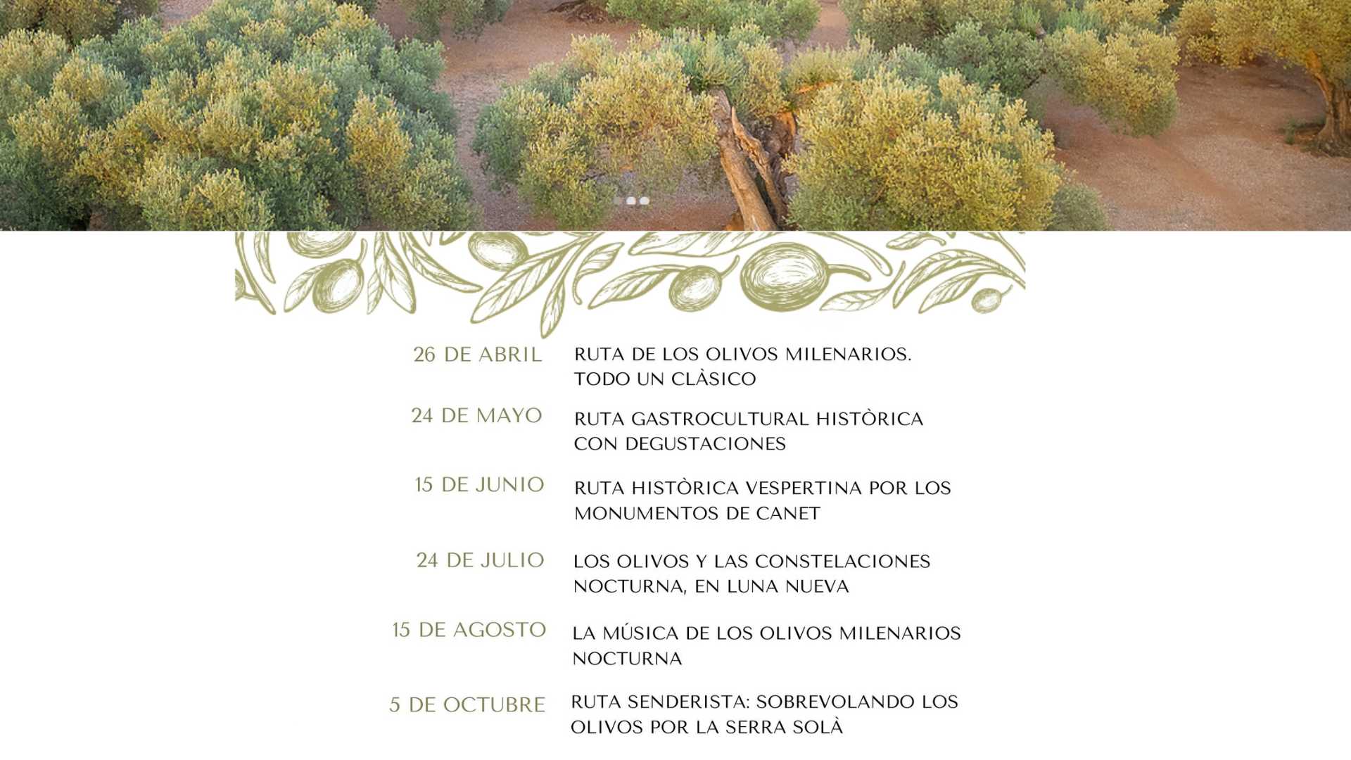 Experiencias Canet lo Roig