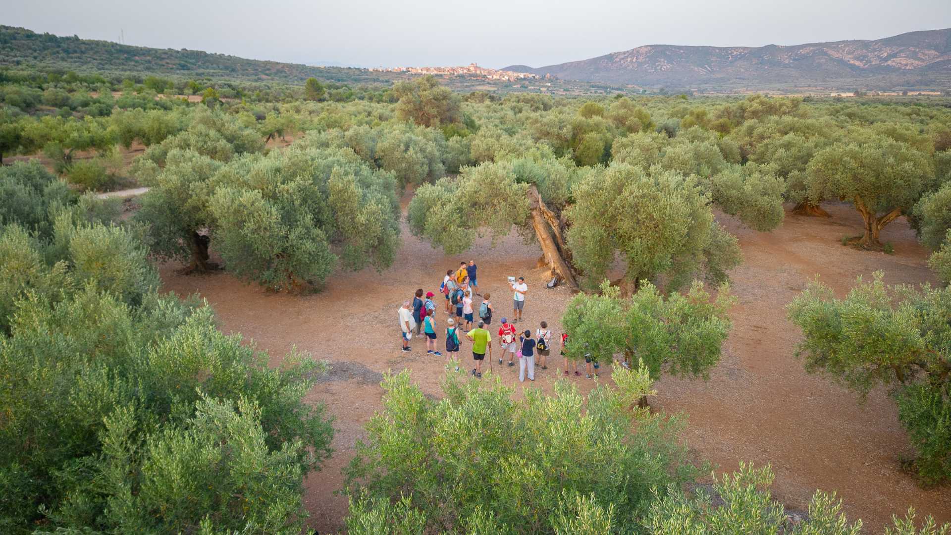 Experiencias Canet lo Roig