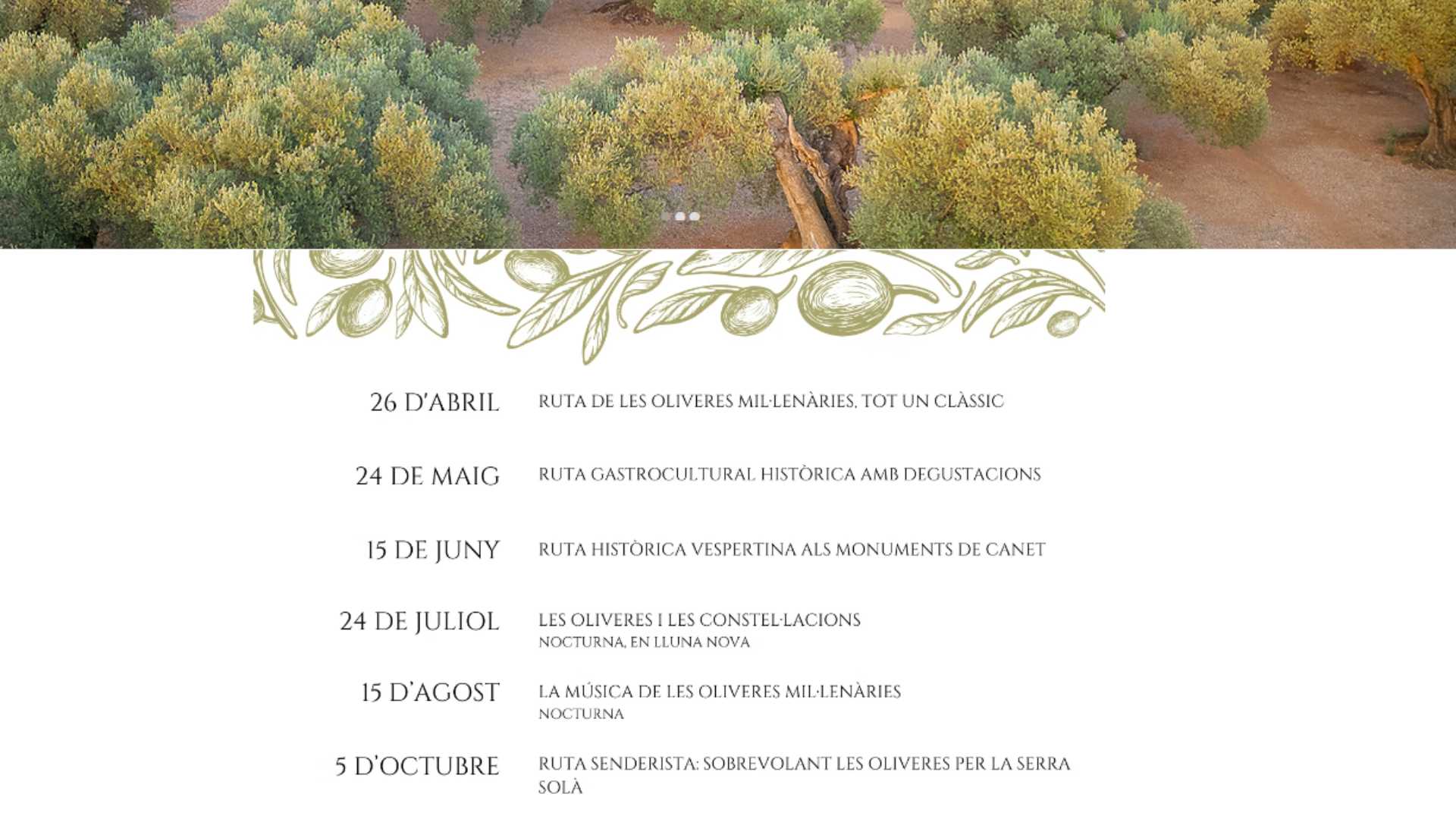 Experiencias Canet lo Roig