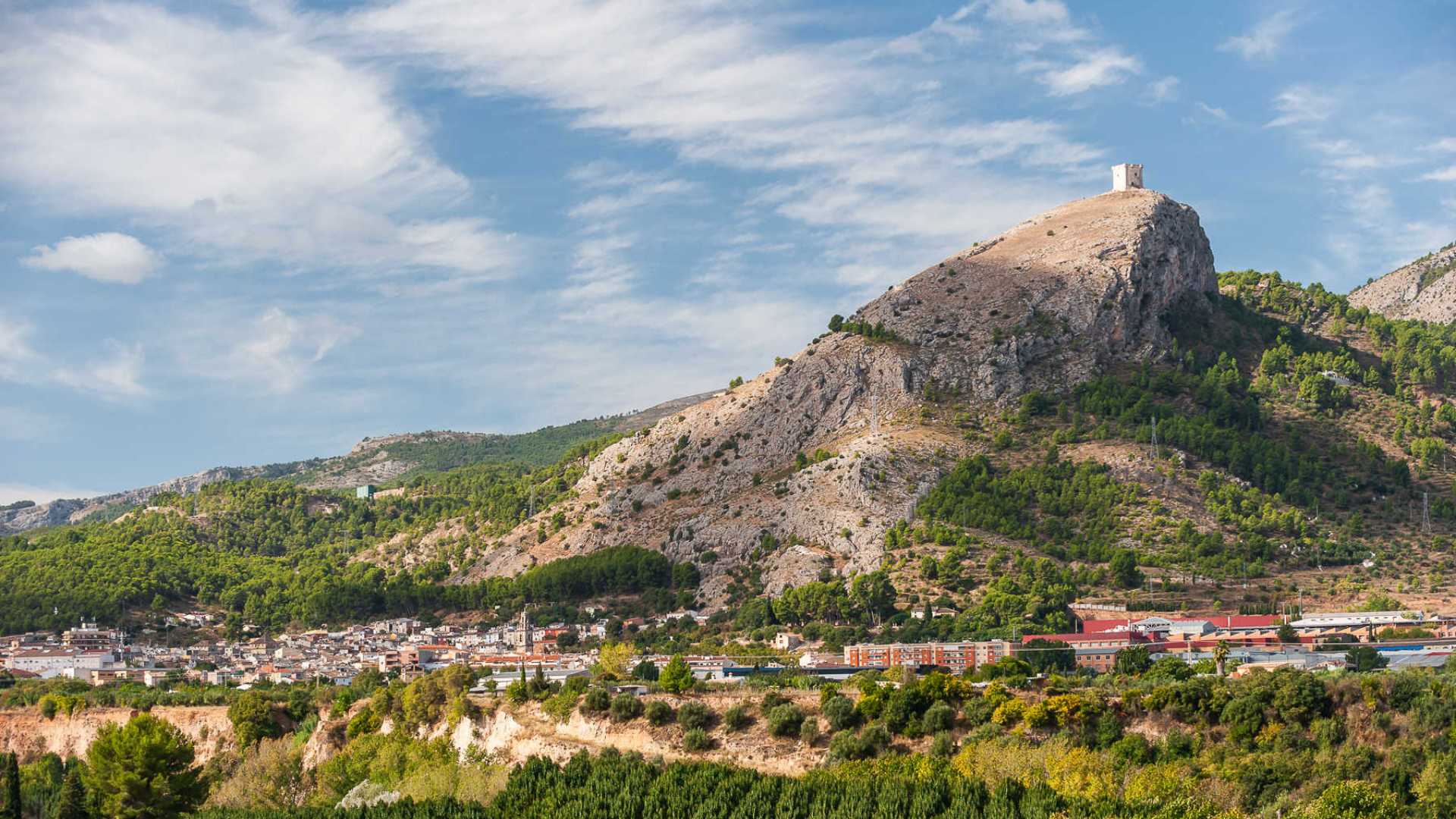 bodega vins del comtat,