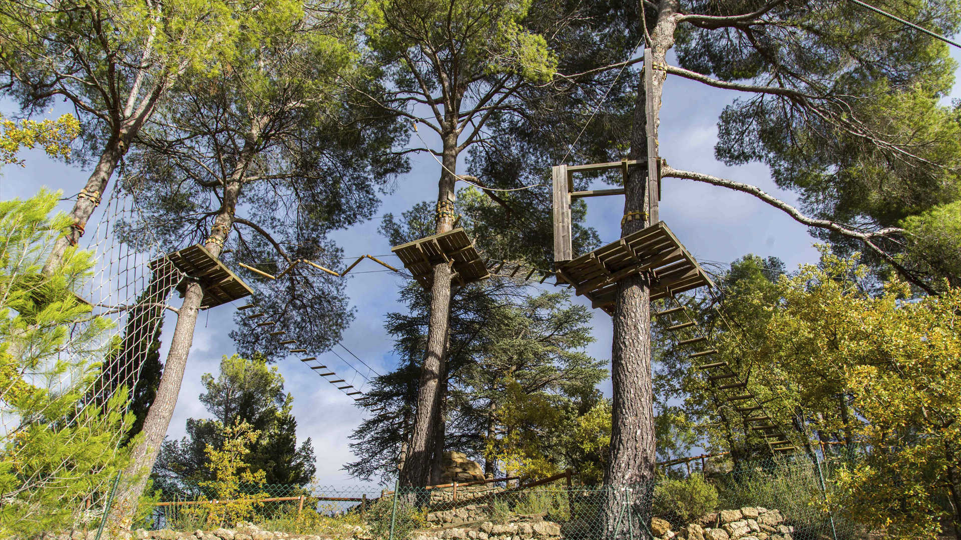 saltapins morella