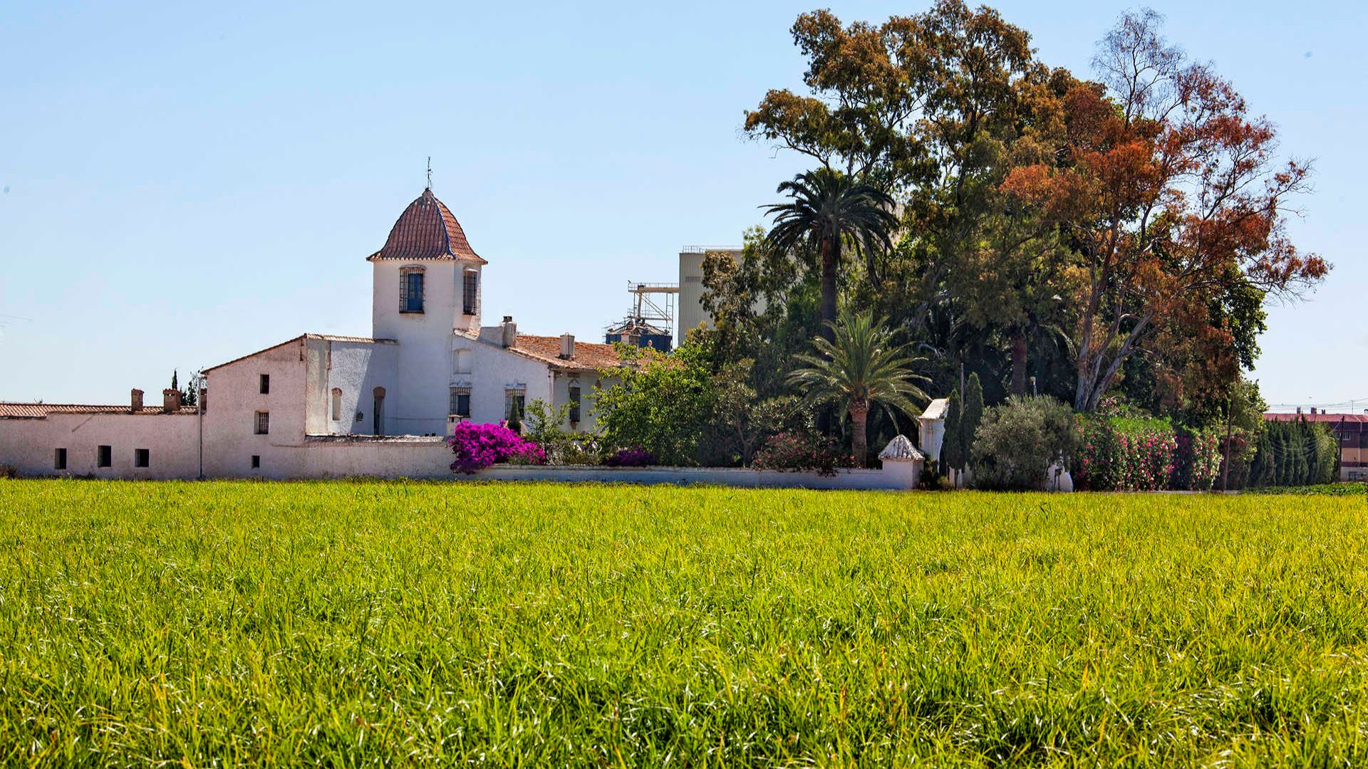 Alboraia / Alboraya