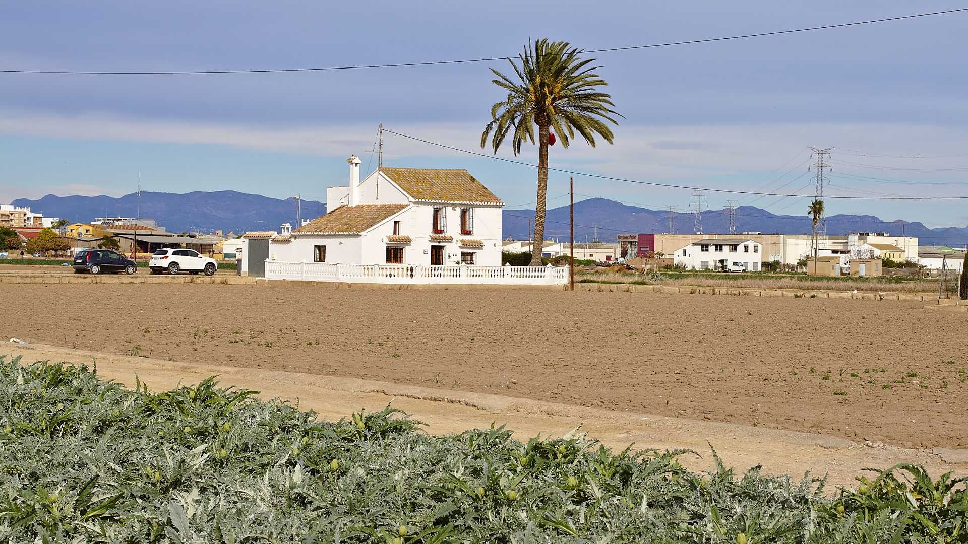 Alboraia / Alboraya