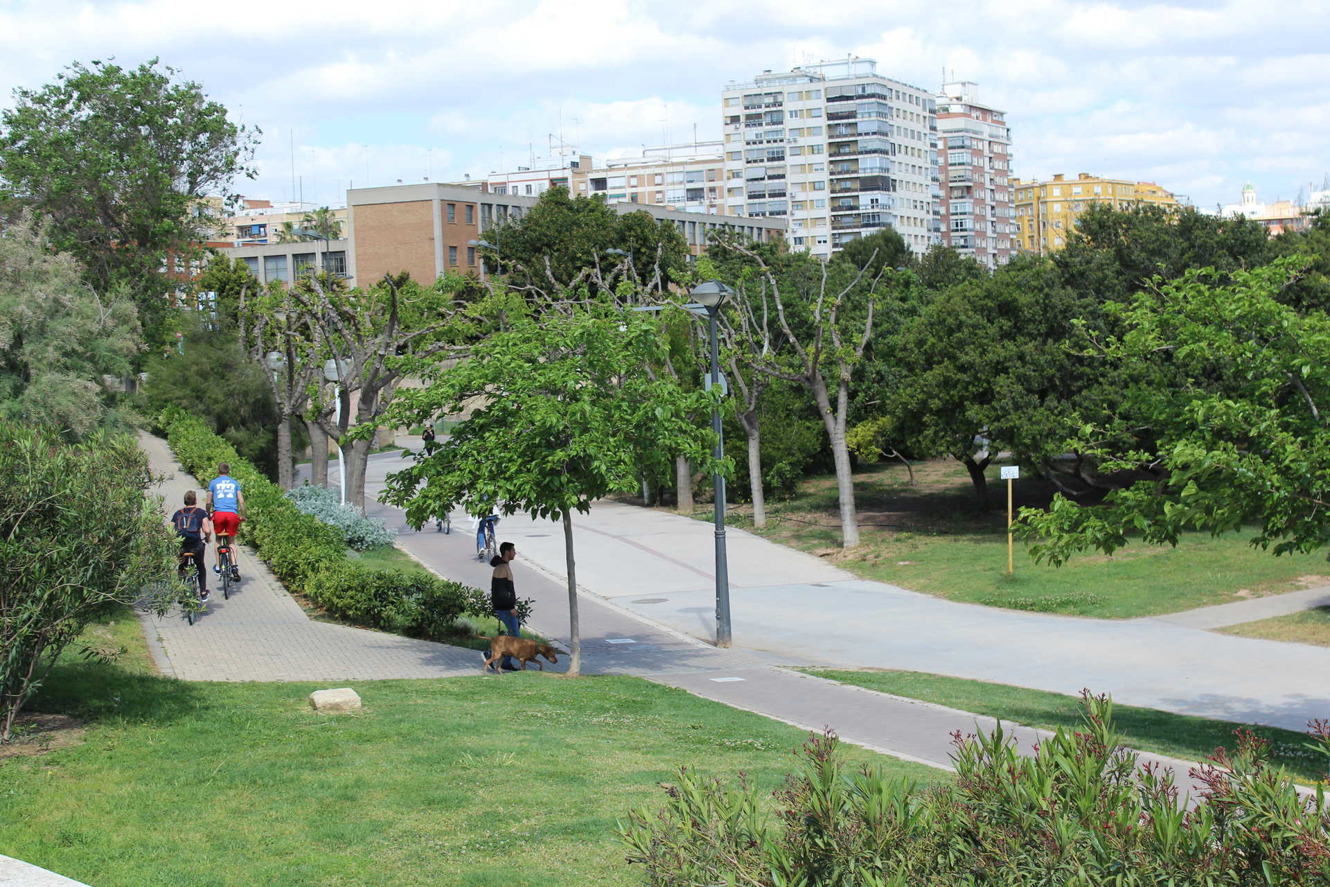 Jardines del río Turia