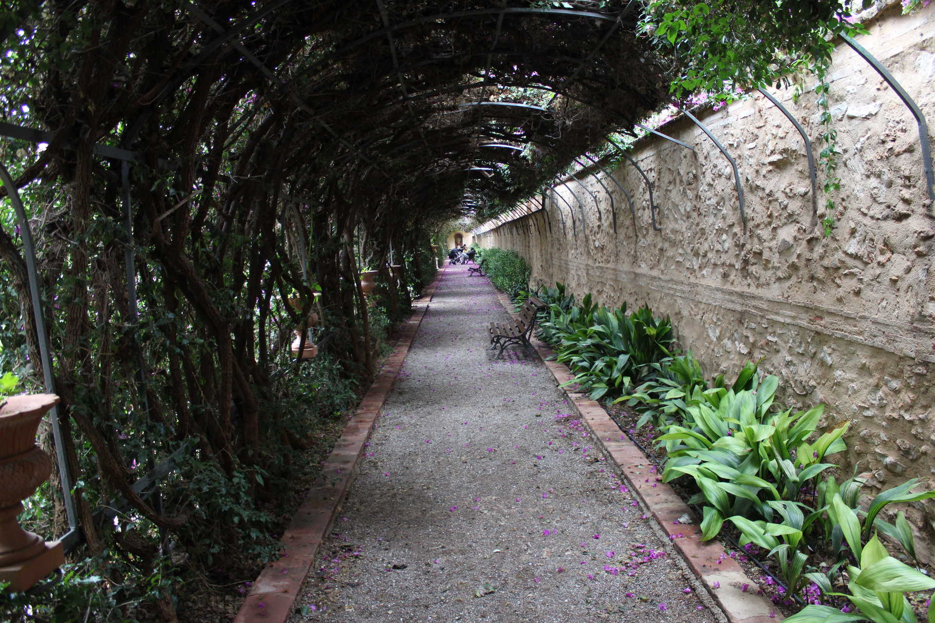 Jardins de Monforte