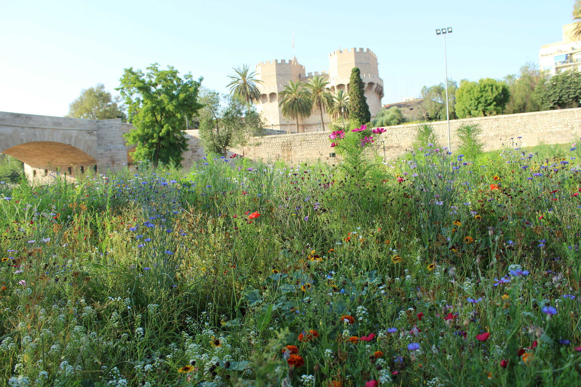 Jardines del río Turia