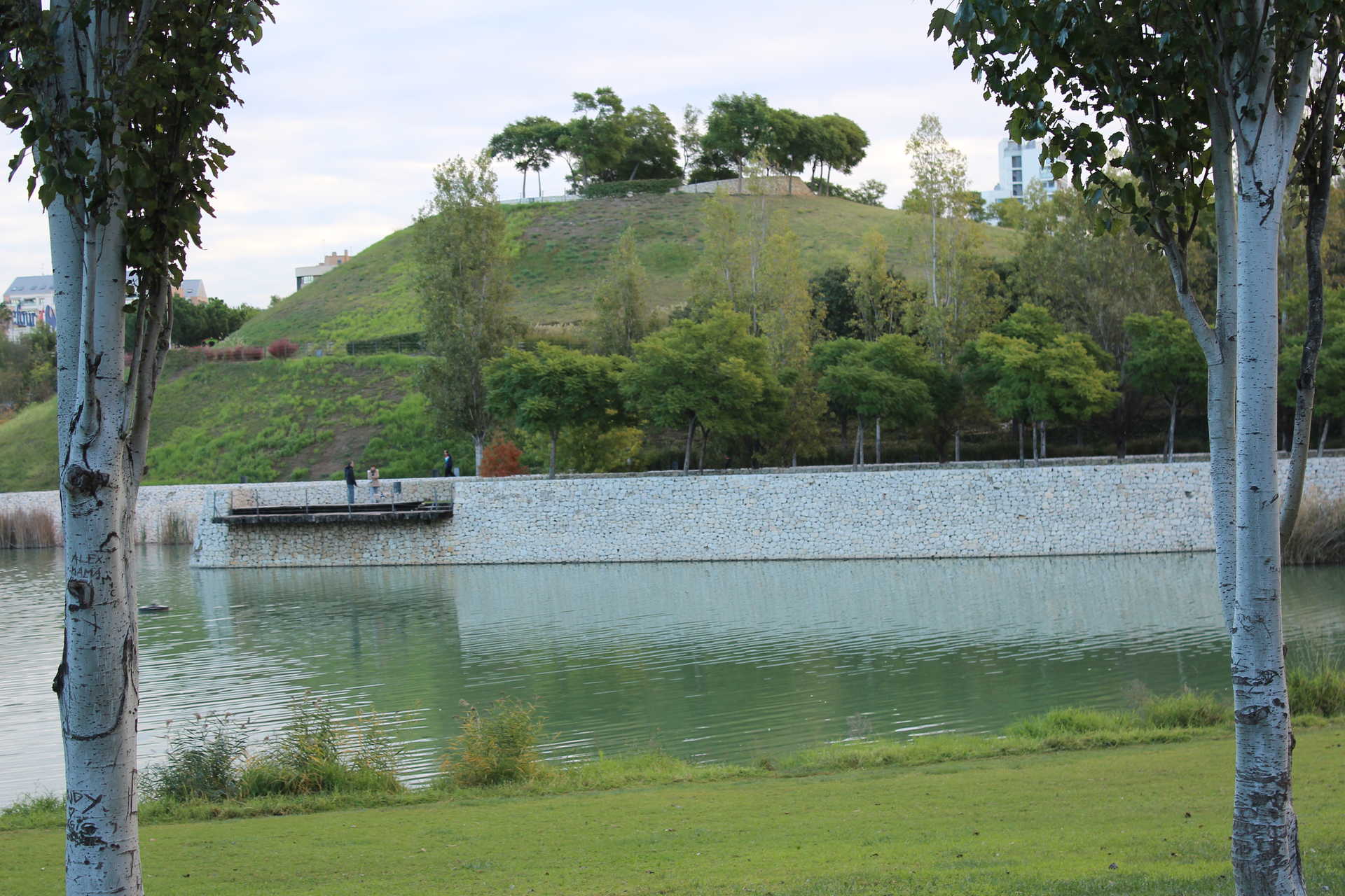 PARC DE CAPÇALERA