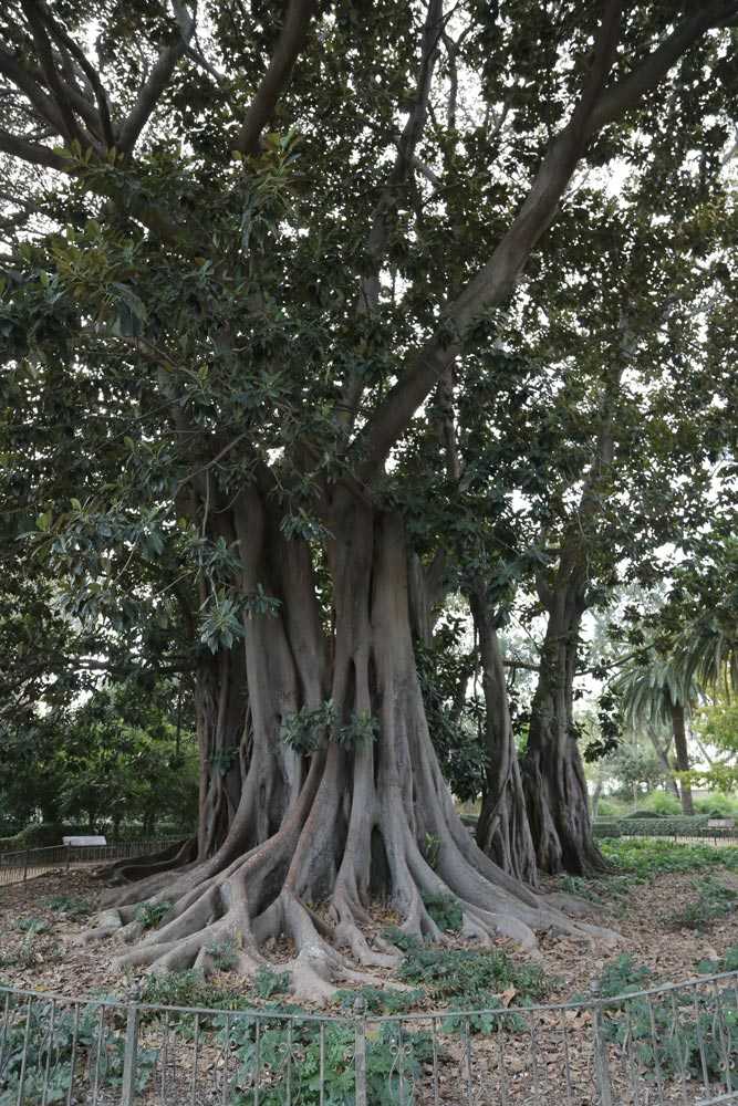 Palacete y Jardines de Ayora