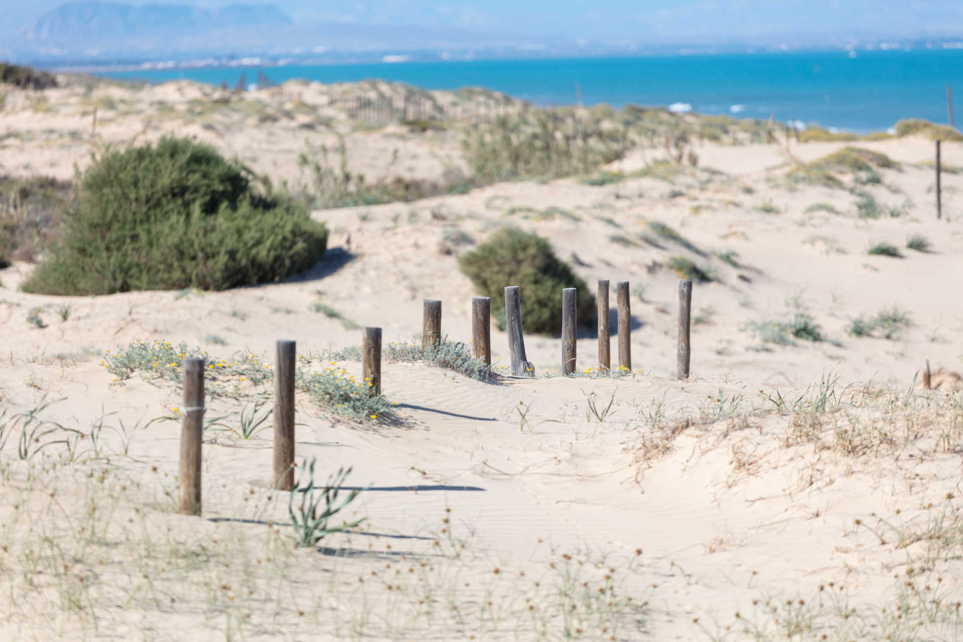 Playa del Campo