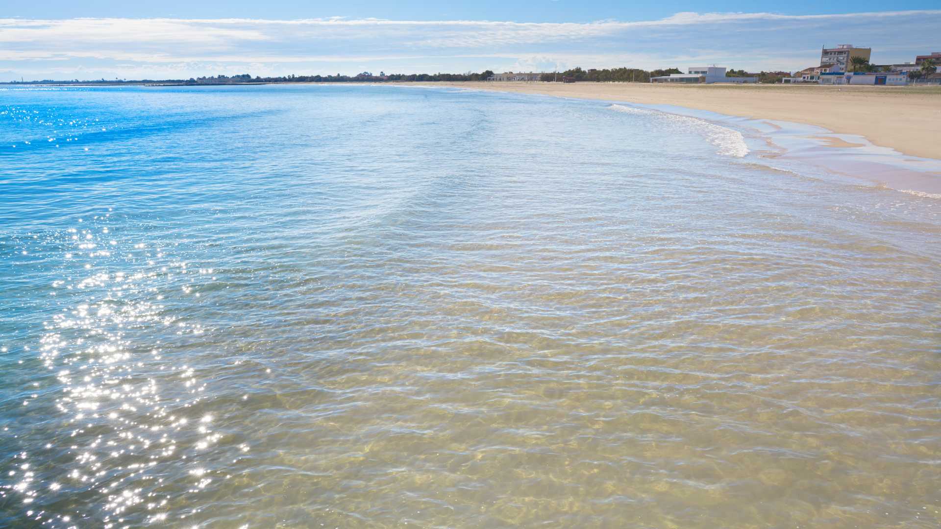 strände pet friendly region valencia